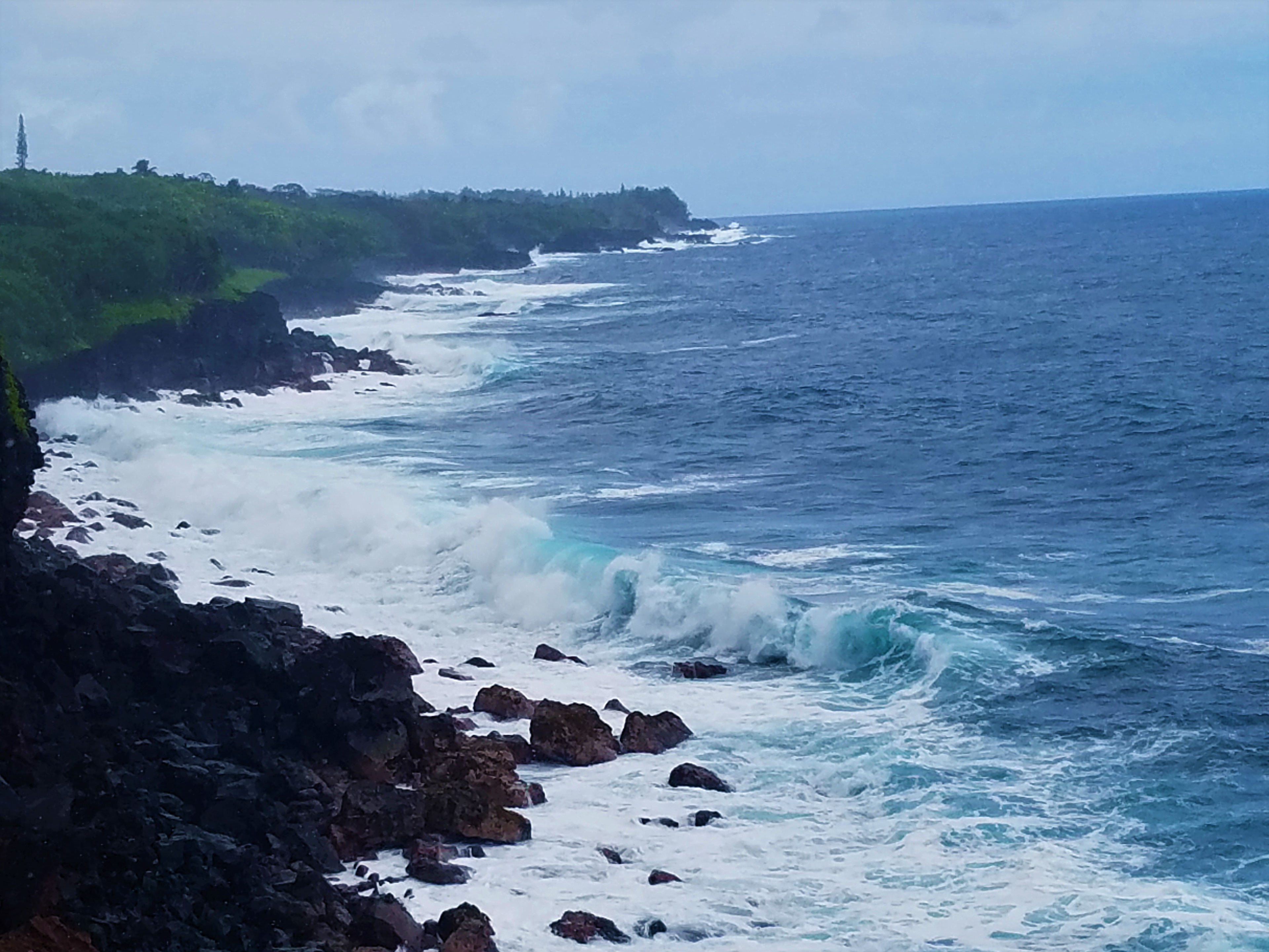 View by Uncle Robert's Awa Bar and Farmers Market