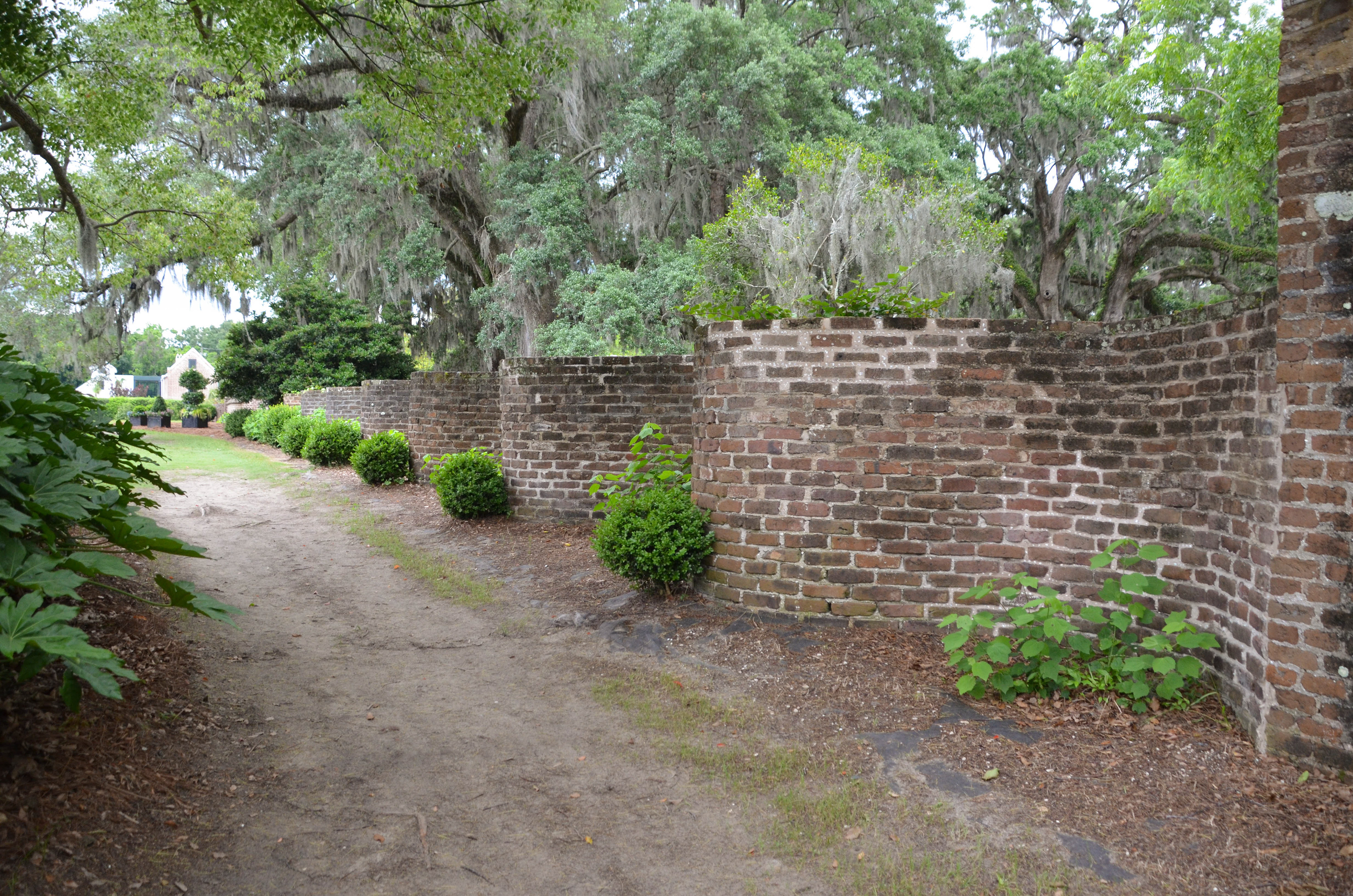 Boone Hall Plantation and Gardens - Mt. Pleasant