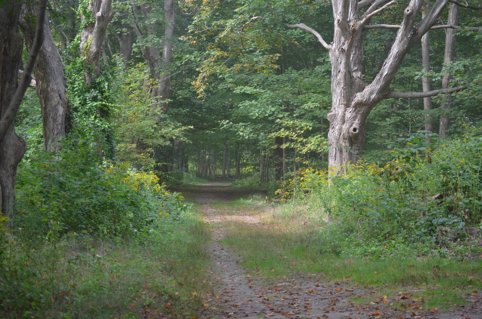 Odiorne Point State Park