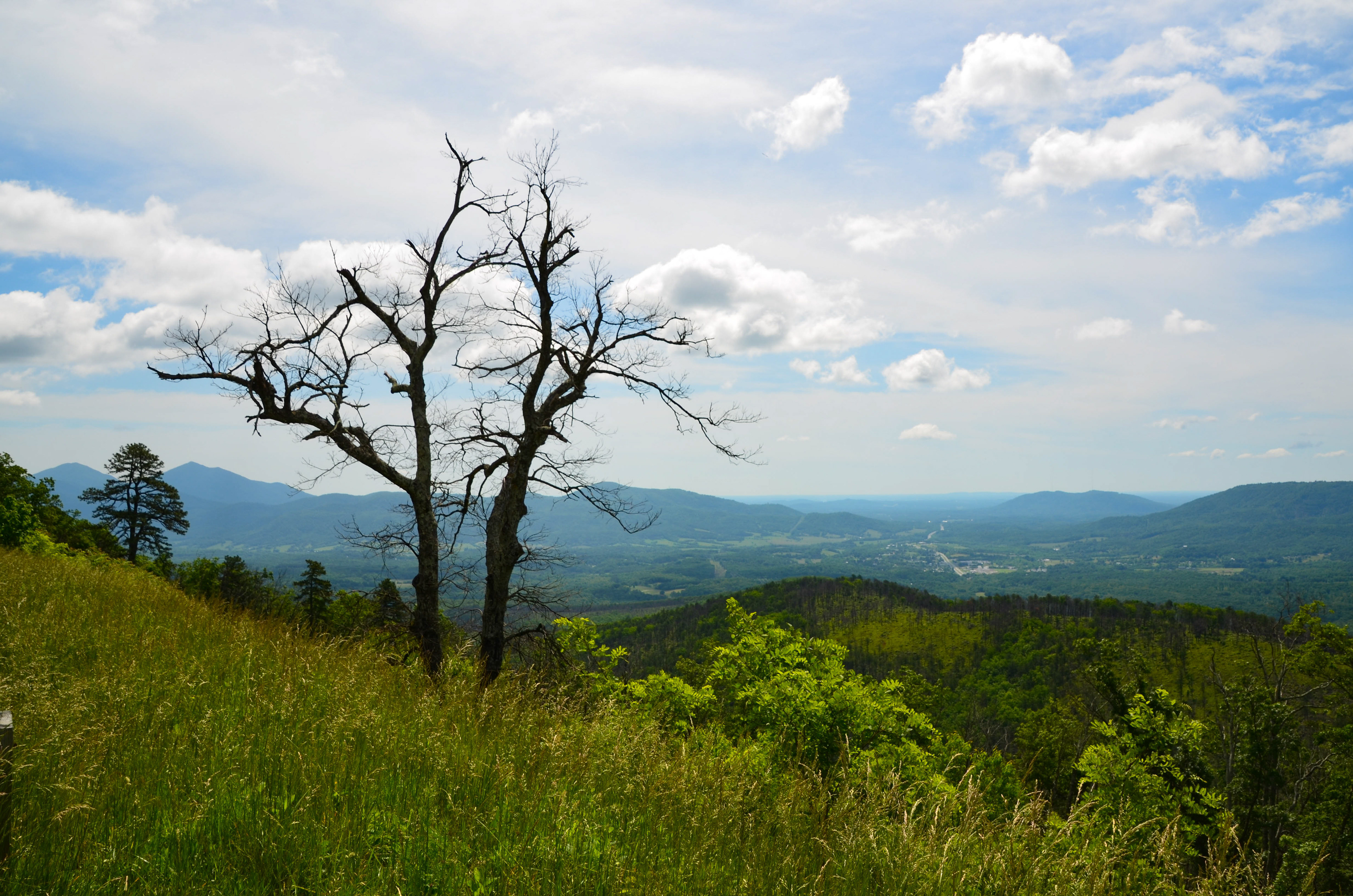 Taylor Mountain Overlook, Bedford County - Blue Ridge Parkway