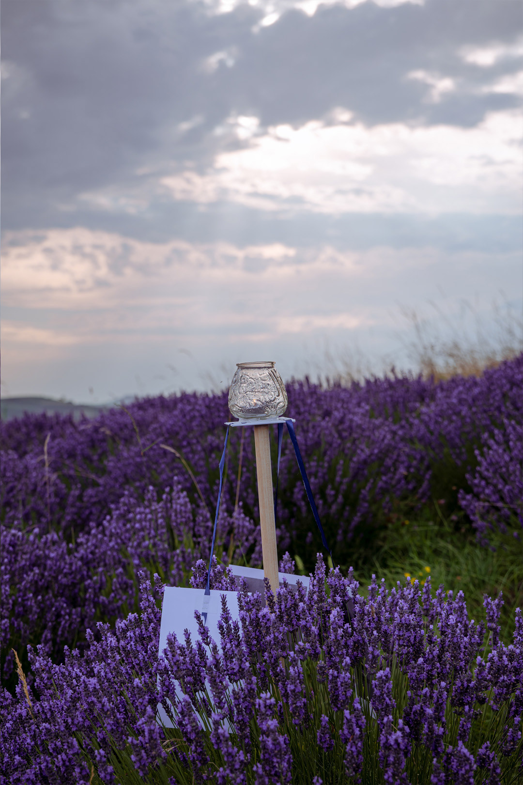 Shooting evento di meditazione nella lavanda a Verona