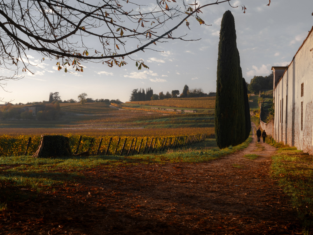 Foto di paesaggio