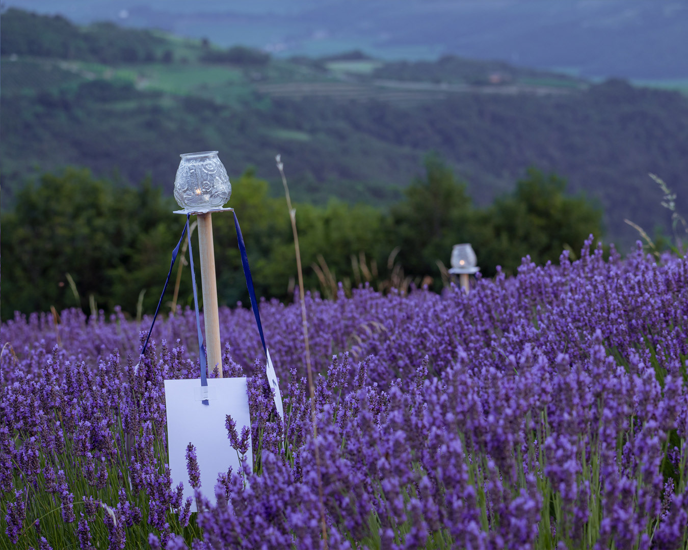 Shooting evento di meditazione nella lavanda a Verona
