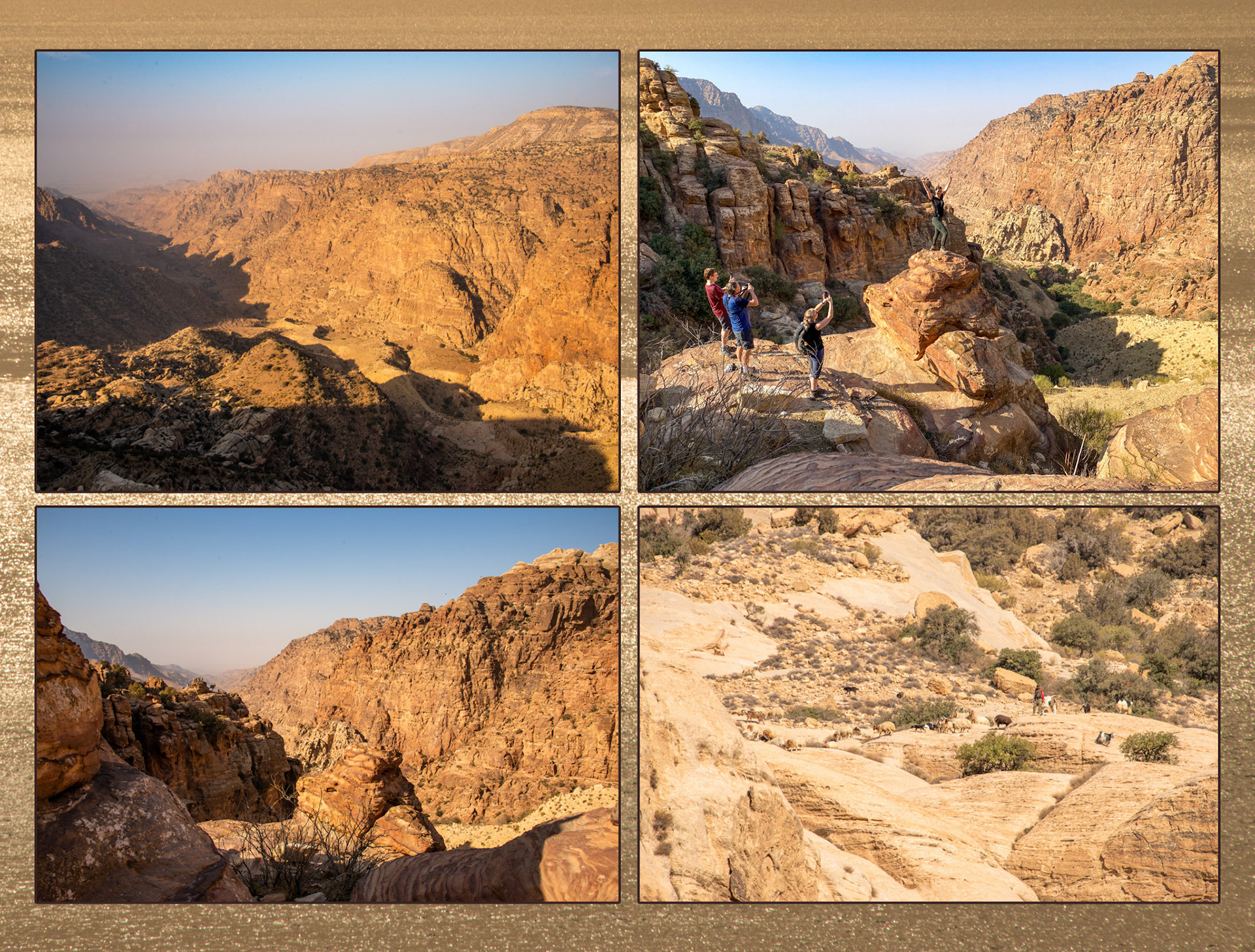 2021 11 16 Jordan F03 Dana