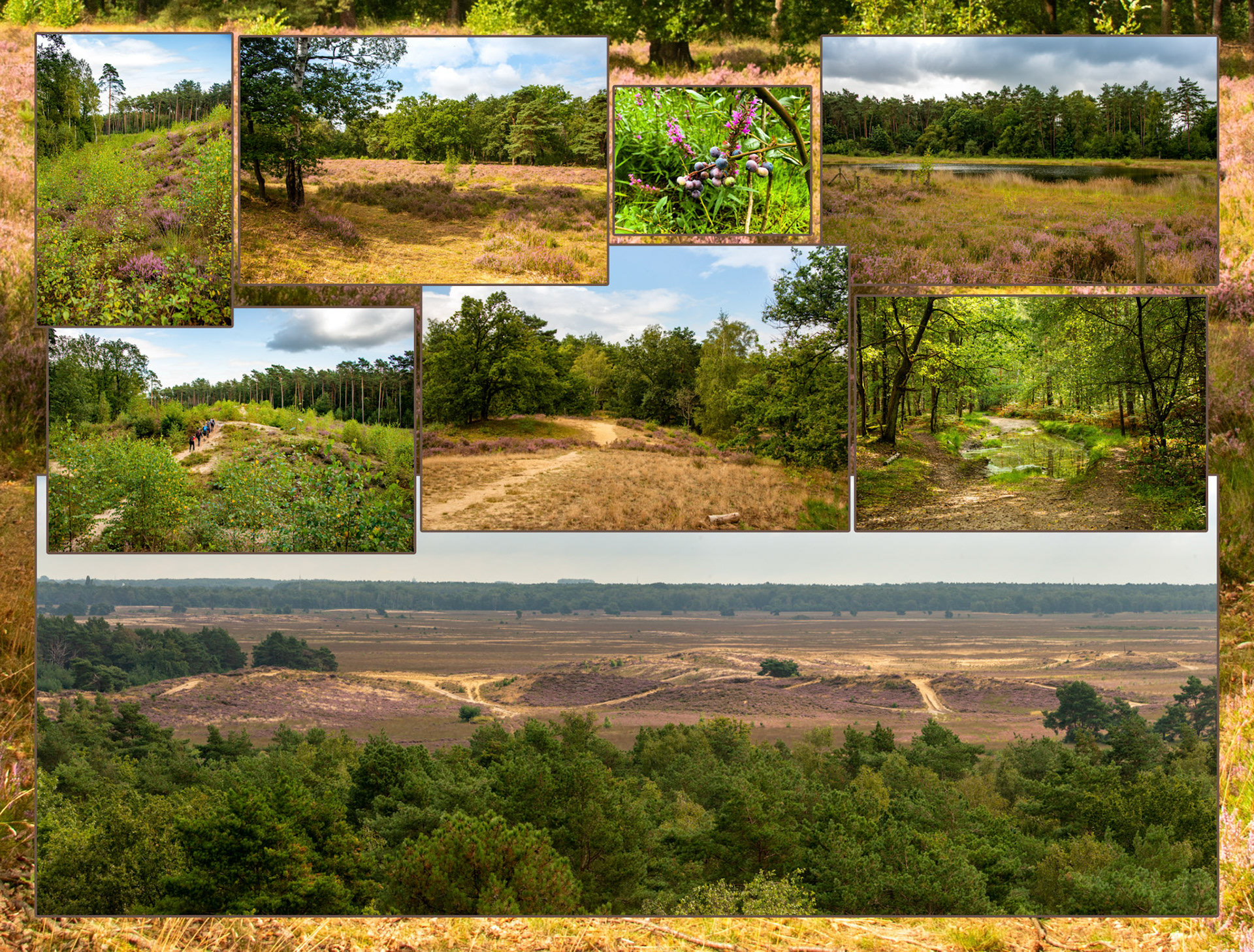 2021 08 28 AR Zwarte Beek F35b