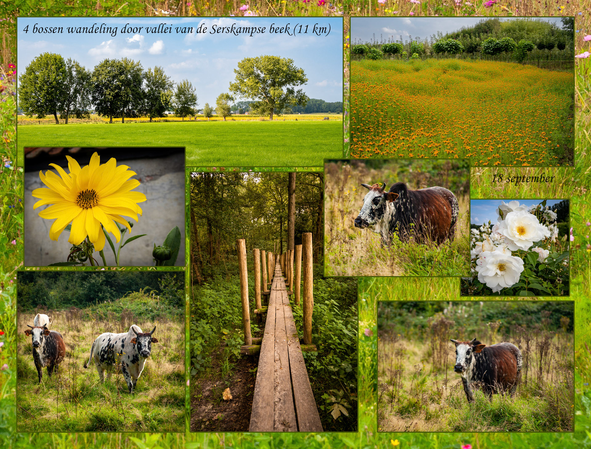 2021 09 18 Serskampse beek F03b