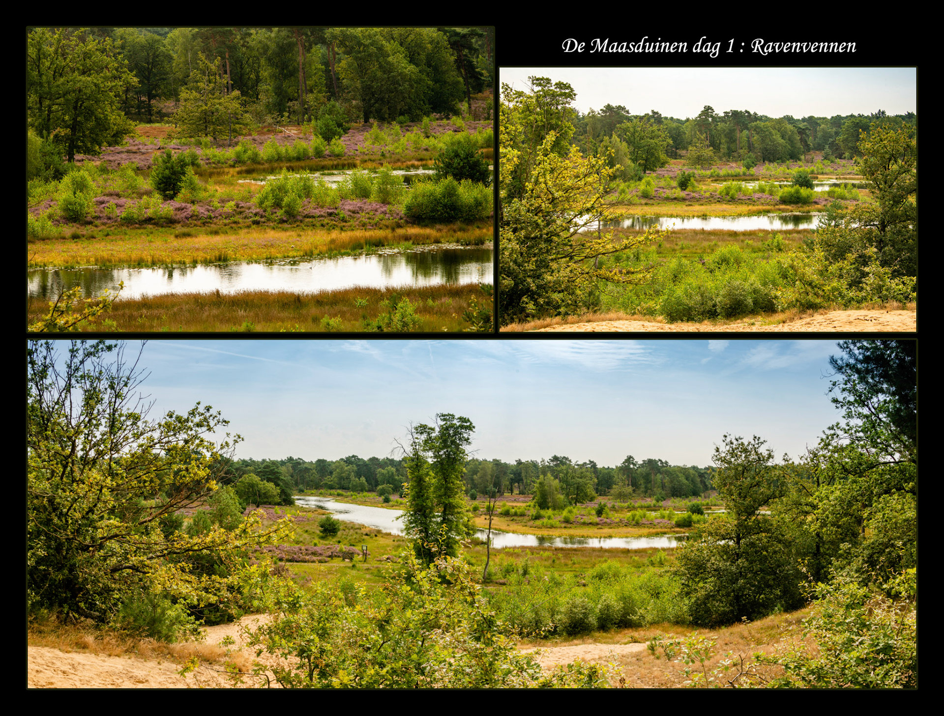 2021 08 13 Maasduinen F04b