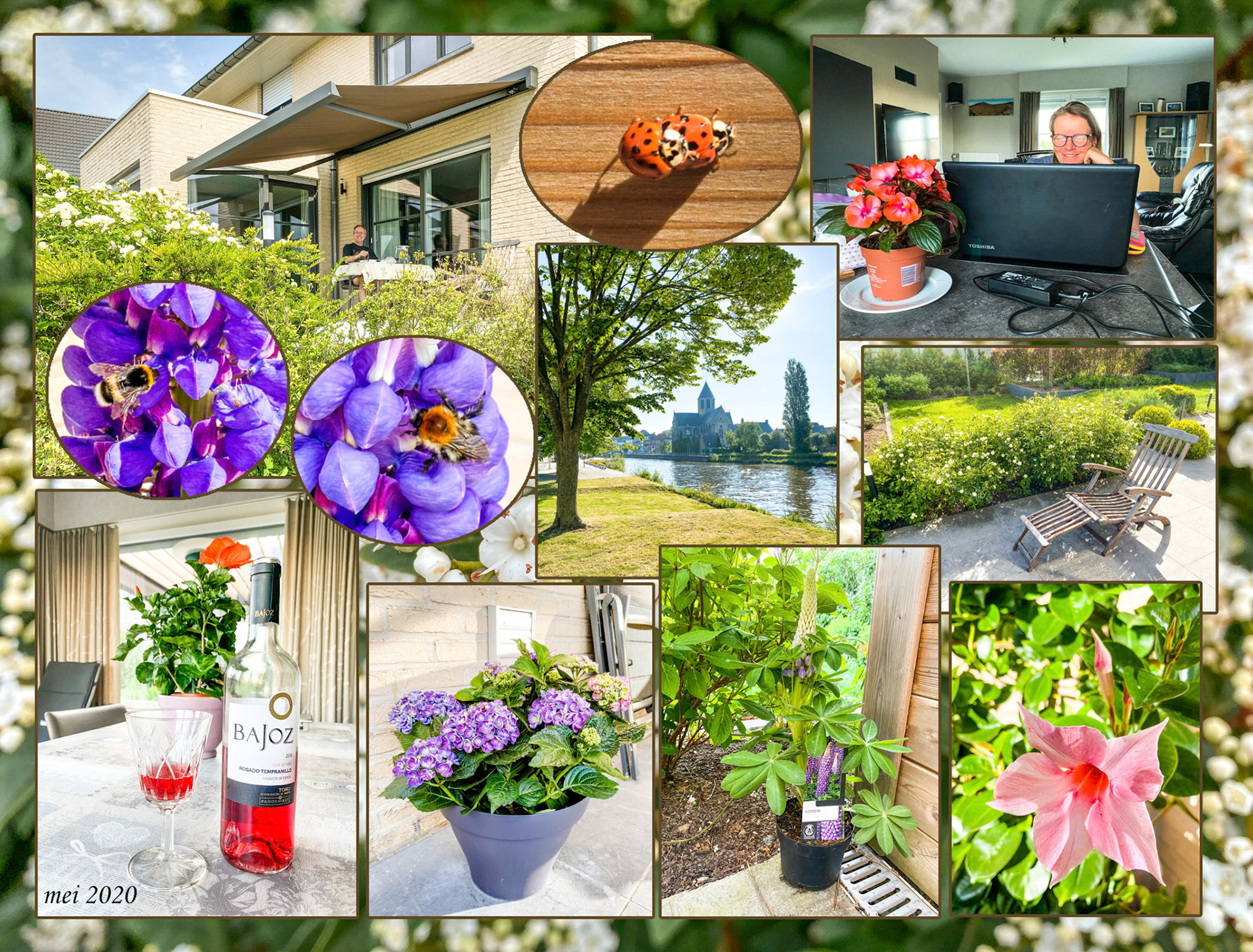 2020 05 23 Tuin 20u55 F06b