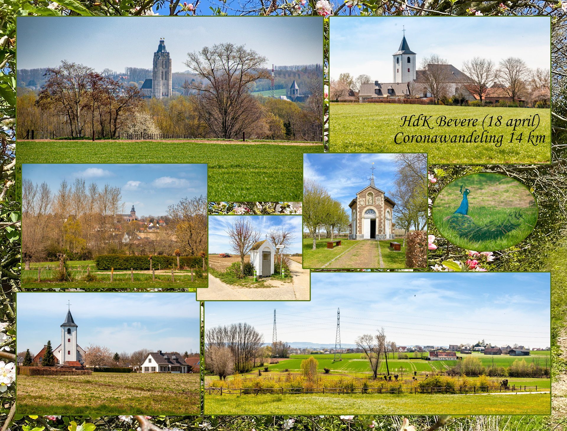 2021 04 18 Bevere HdK F10c