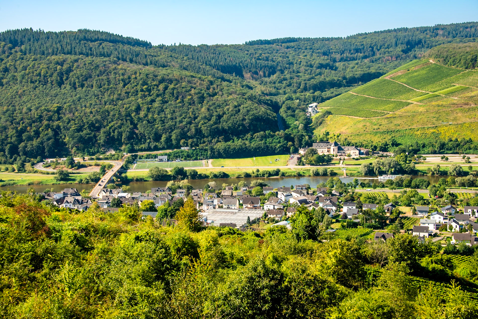 Moselblick