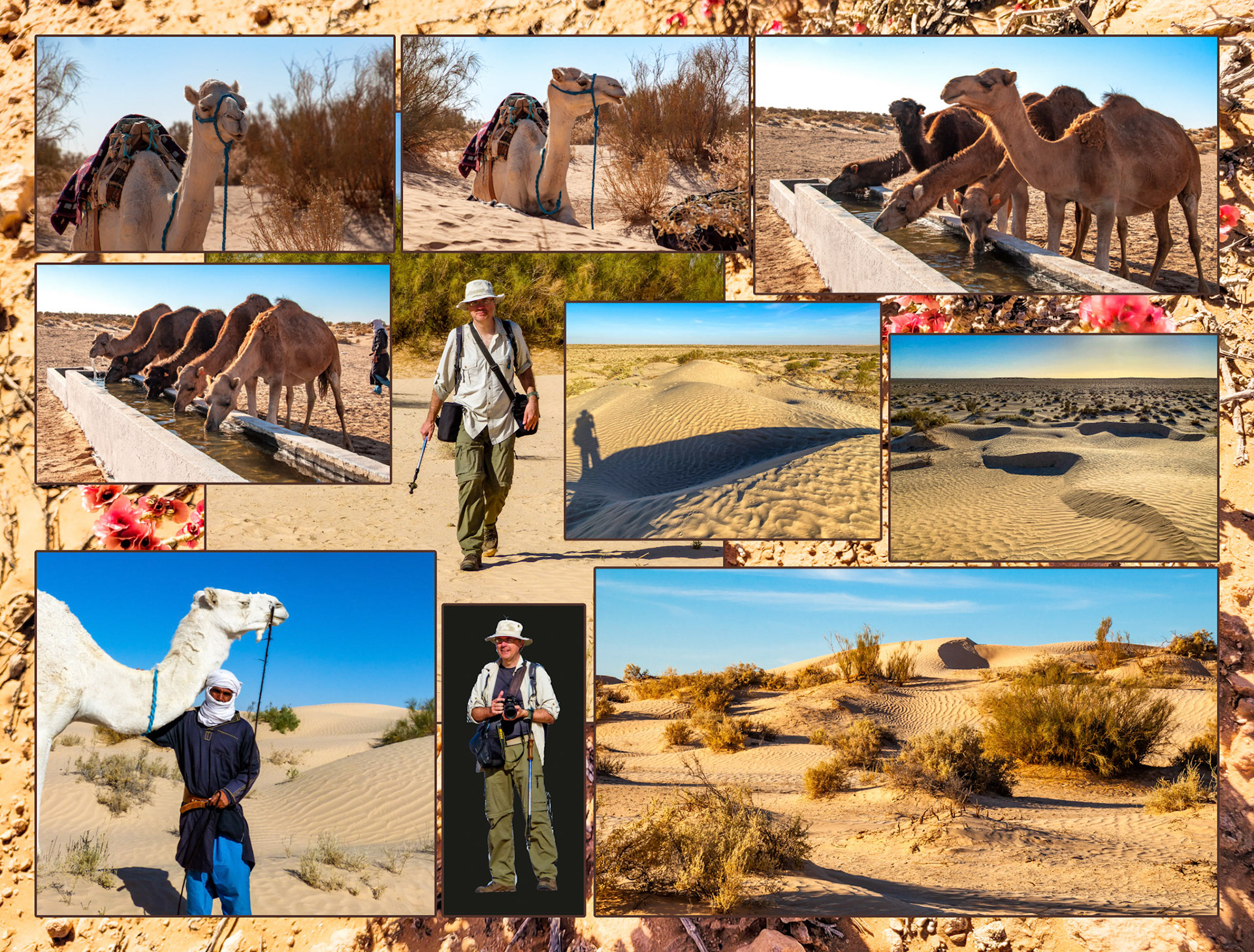 2022 11 24 Sahara F136b