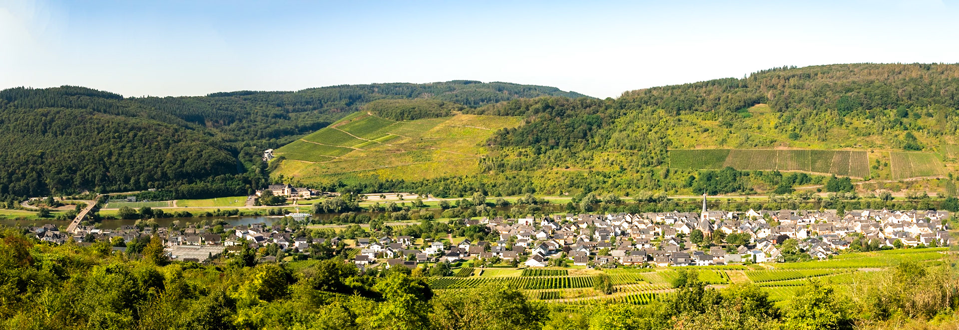 Moselblick