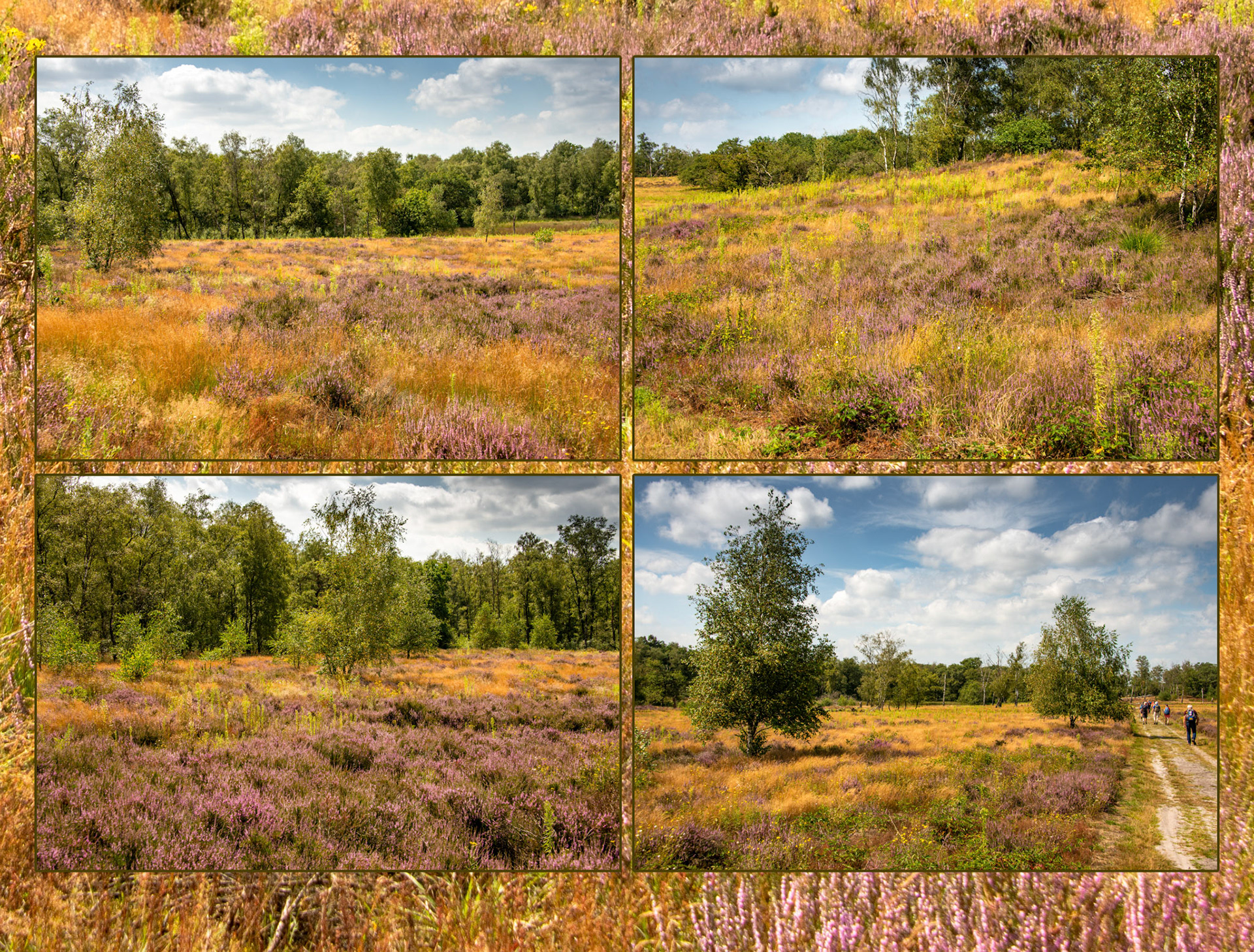 2021 08 14 Maasduinen F34b