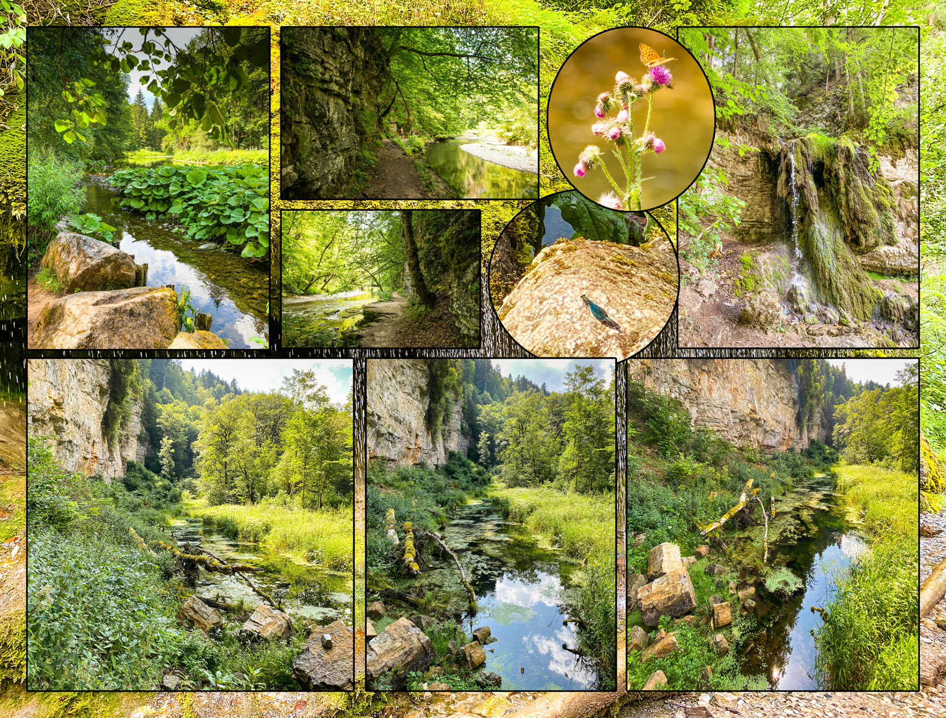 2020 07 22 ZW F026b E2 Blumberg Schattenmuhle