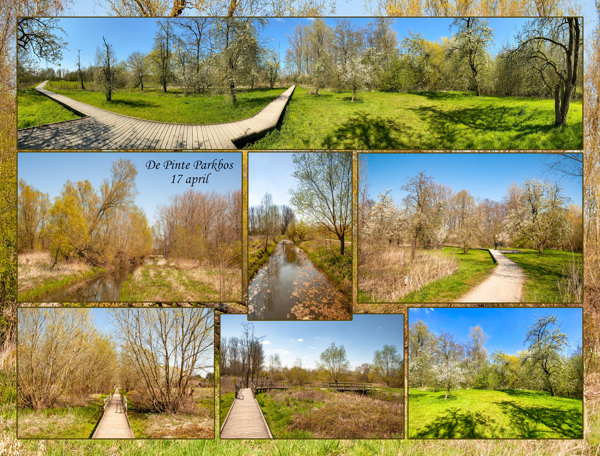 2021 04 17 De Pinte Parkbos F20b