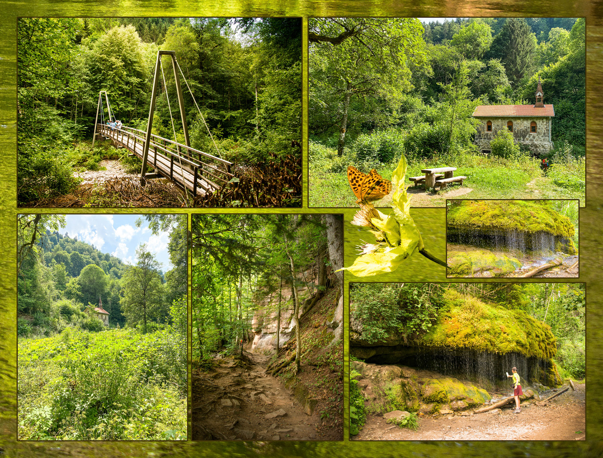 2020 07 22 ZW F123b E2 Blumberg Schattenmuhle