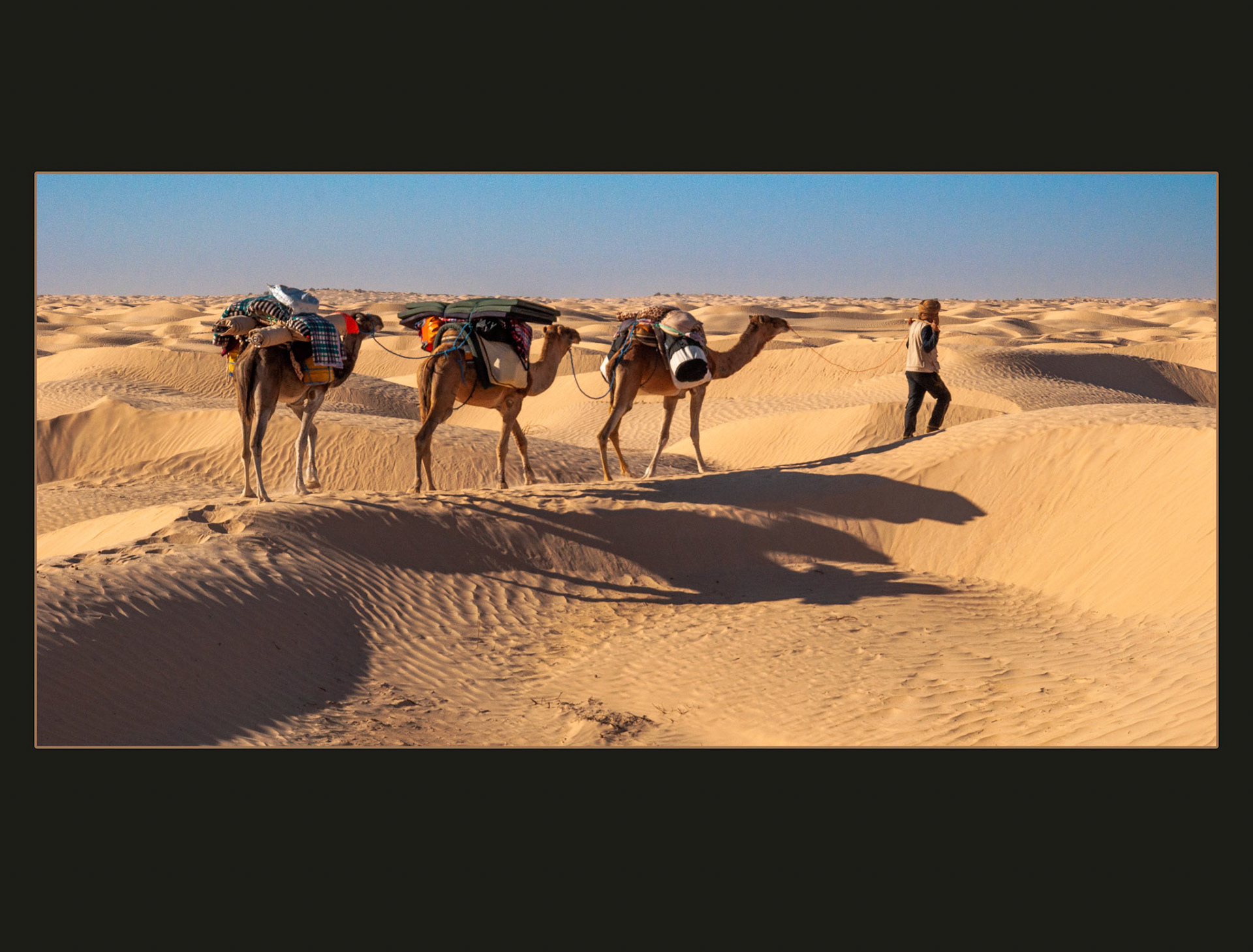 2022 11 24 Sahara F082c