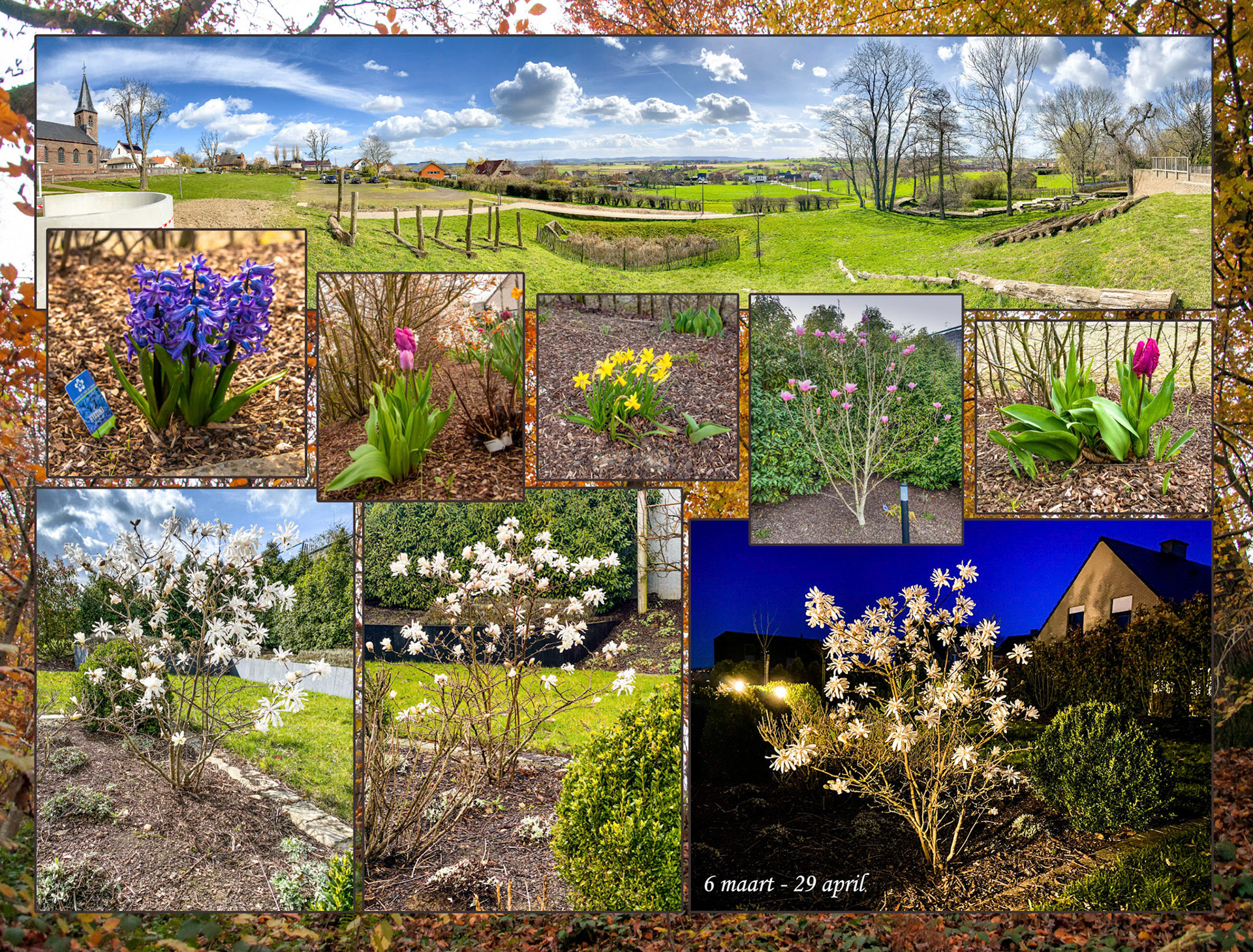 2021 03 25 Tuin F11b