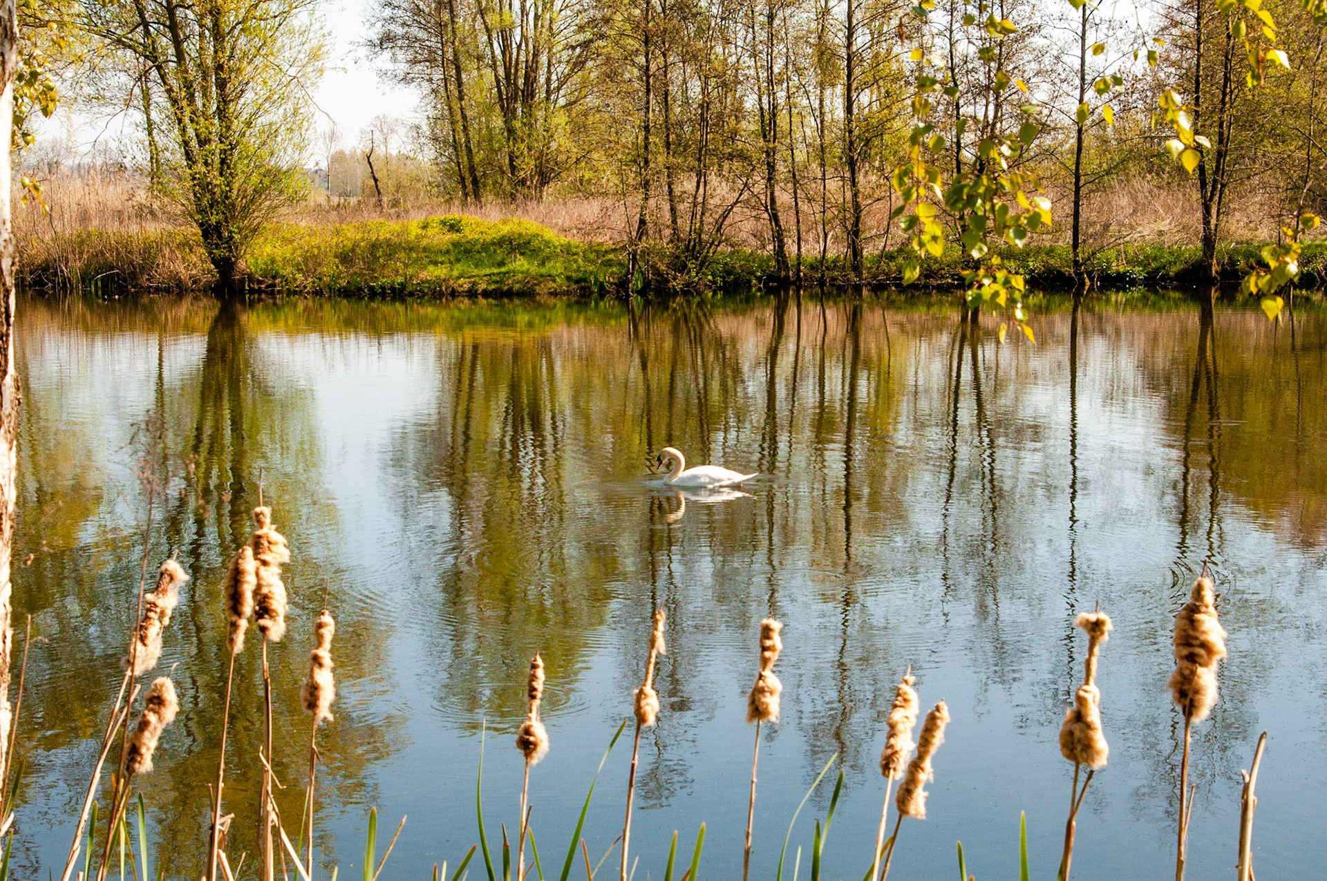 De Kleiputten Grooten Bulck