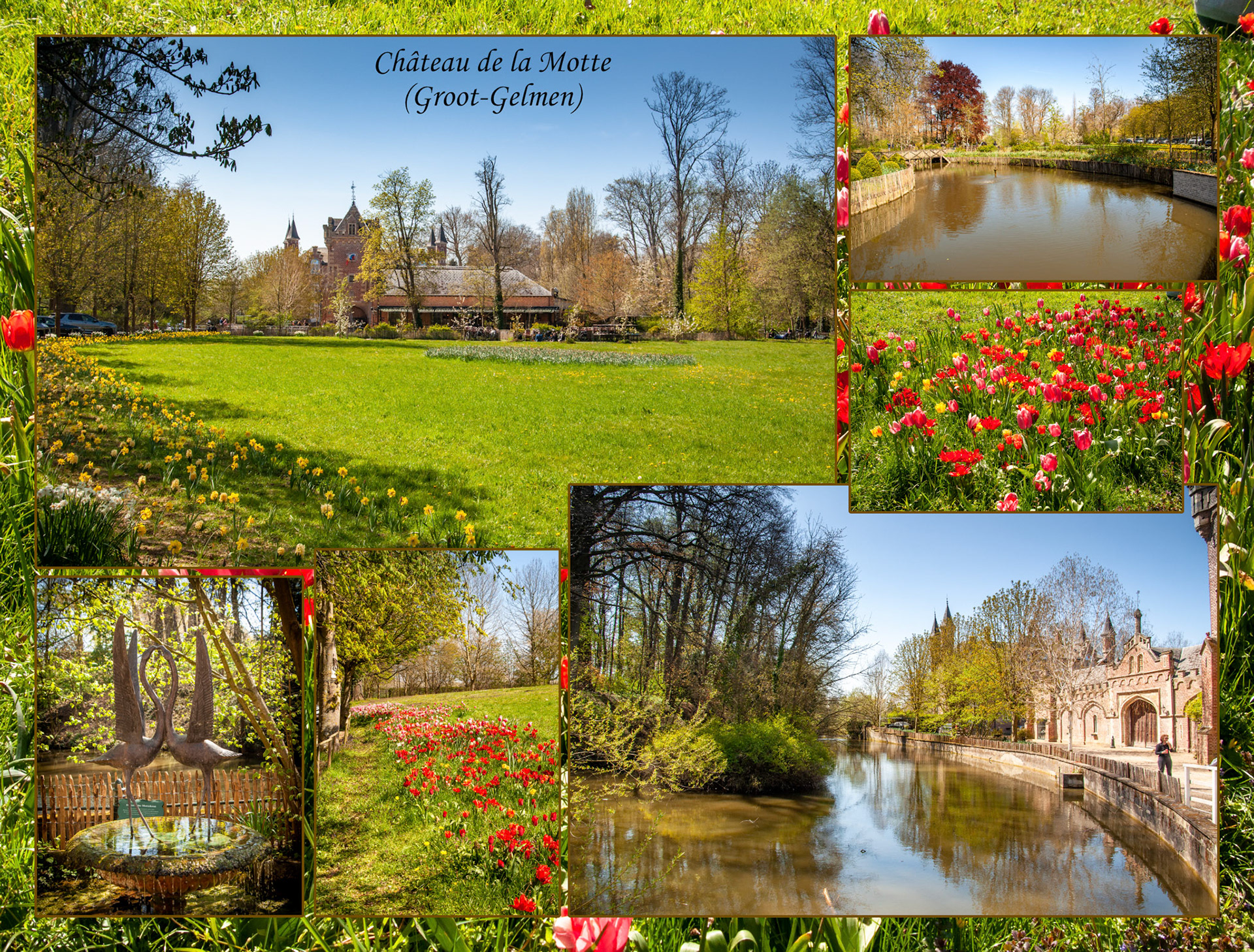 2021 04 25 Groot Gelmen F50b