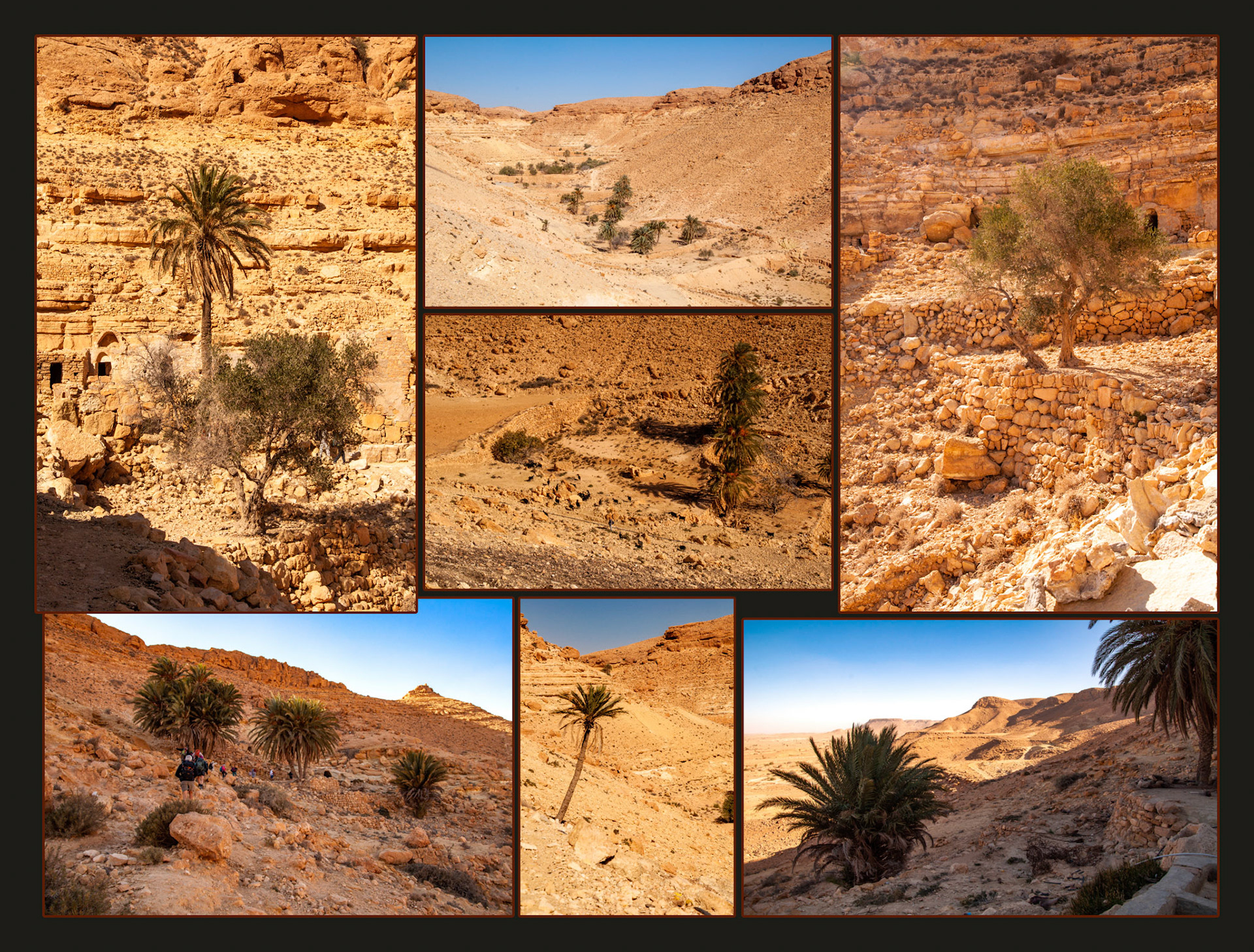 2022 11 20 Douiret Chenini F29b