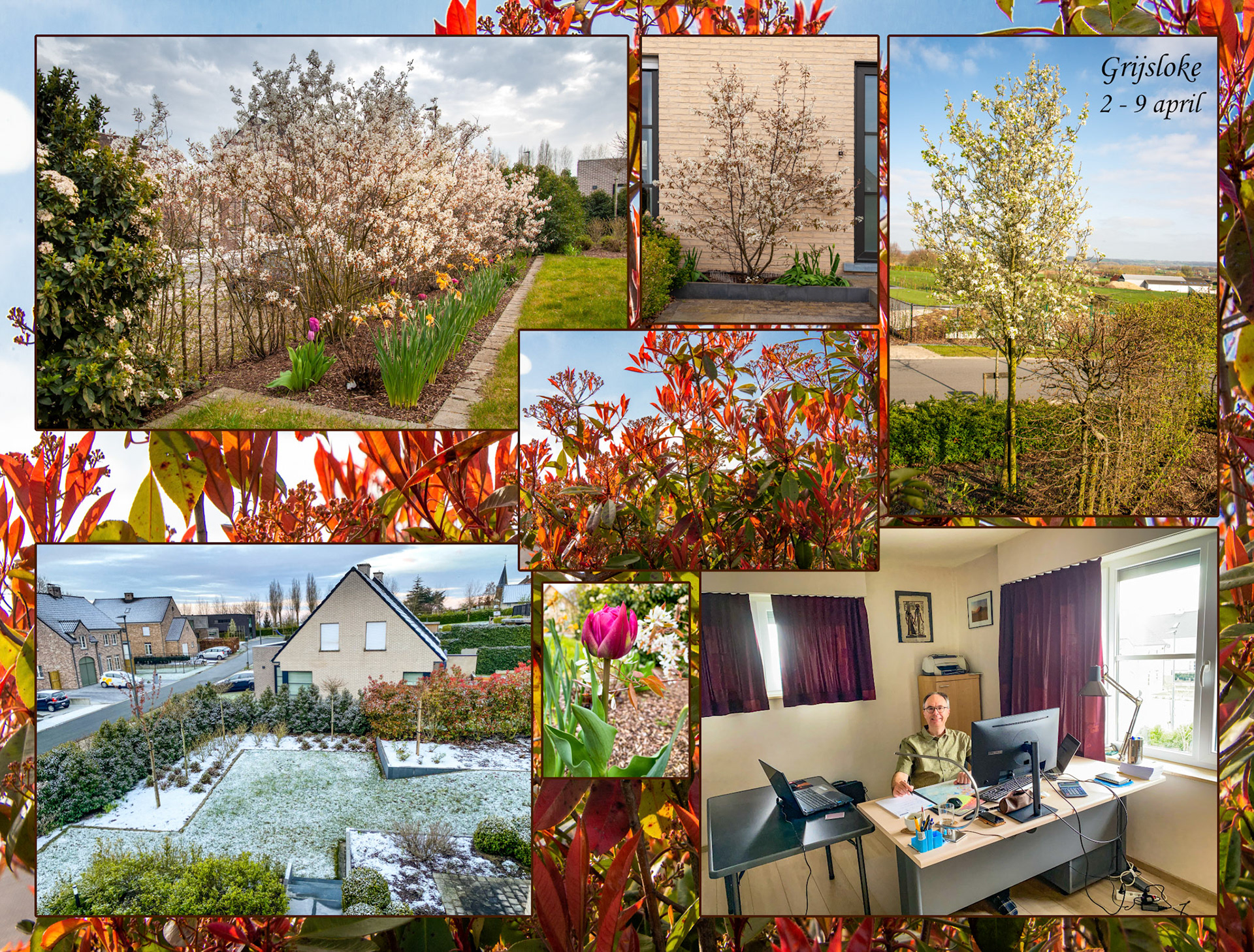 2021 04 04 Grijsloke F37b