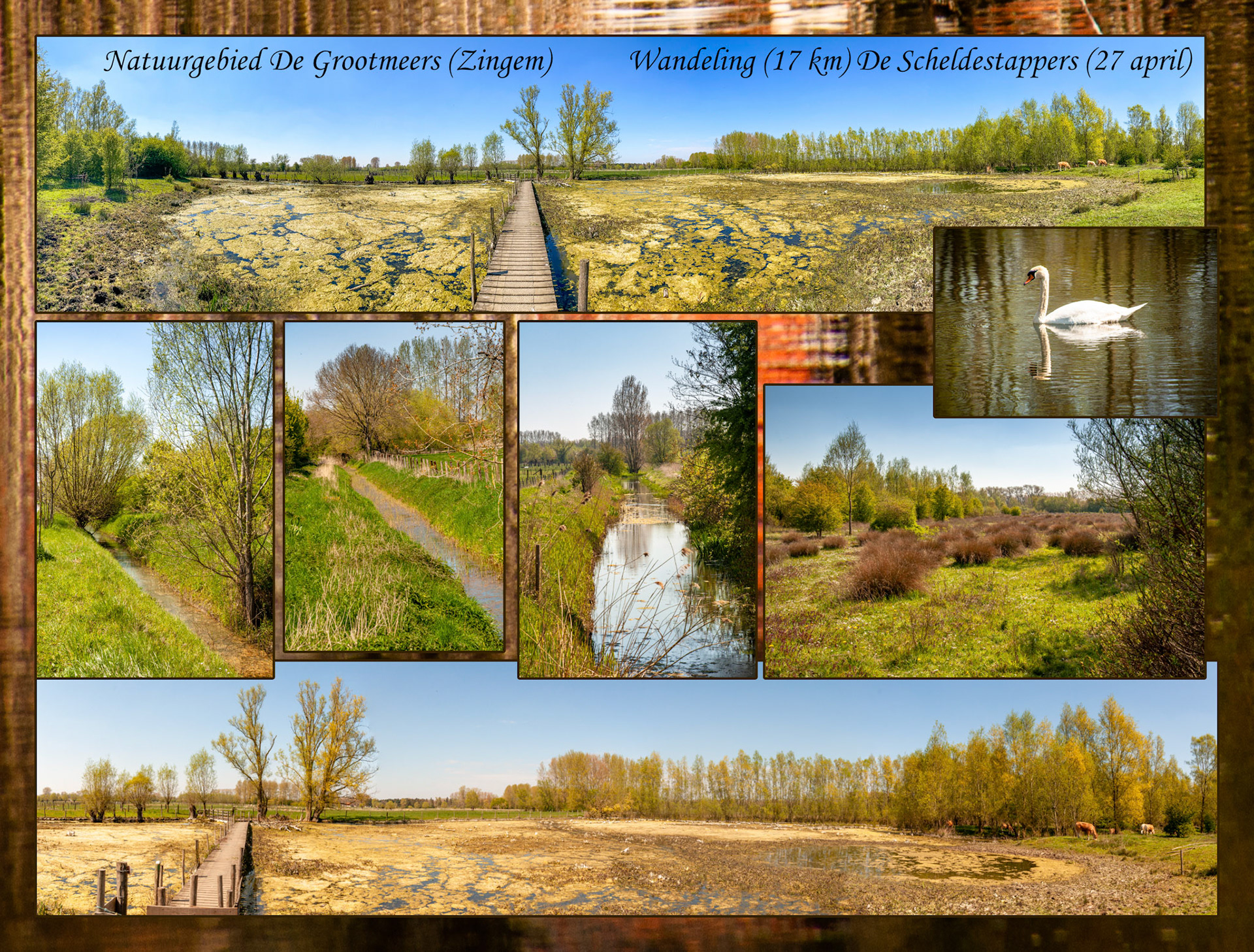 2021 04 27 Zingem Scheldestappers F53b