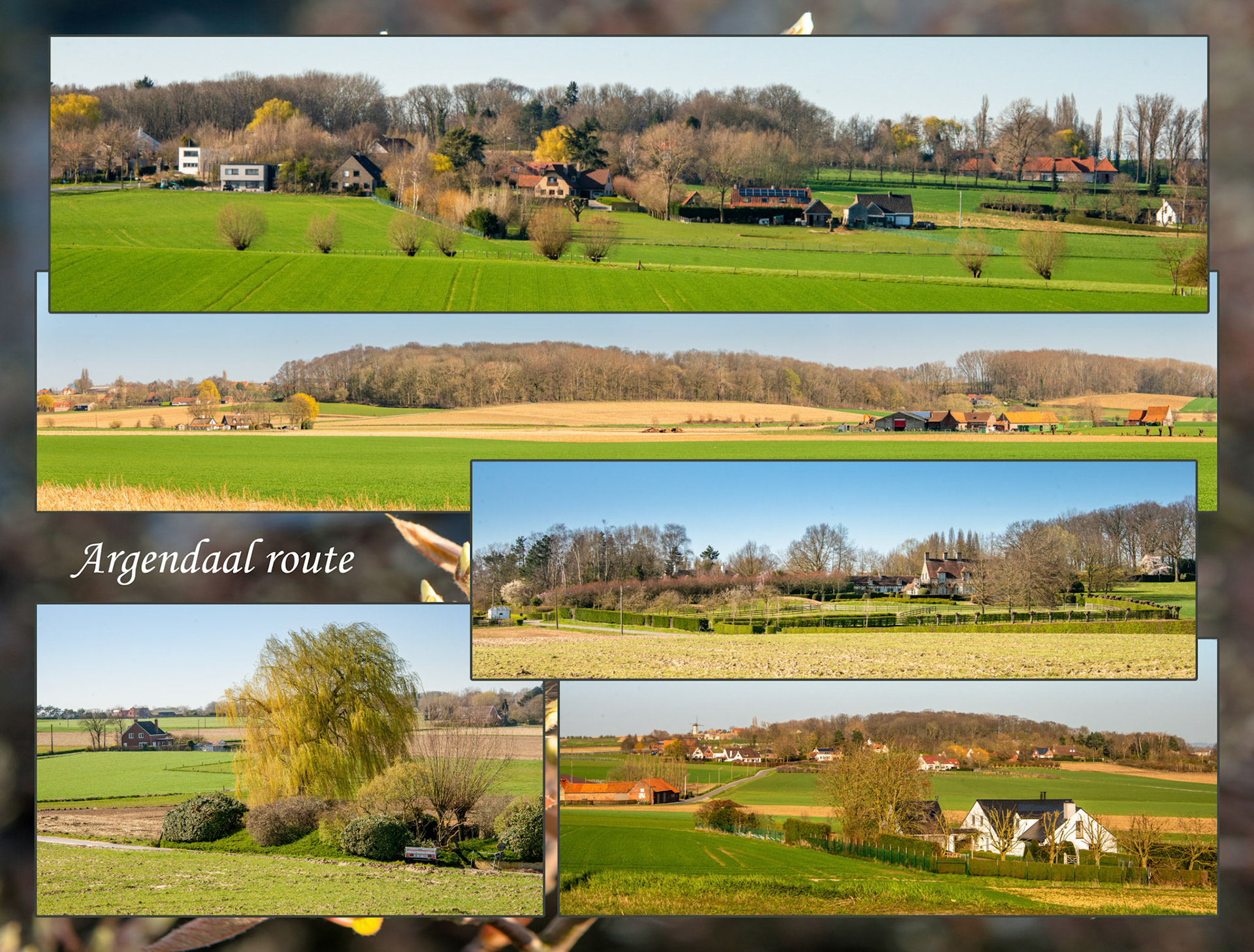 2021 03 29 Bellegem Argendaal F06b