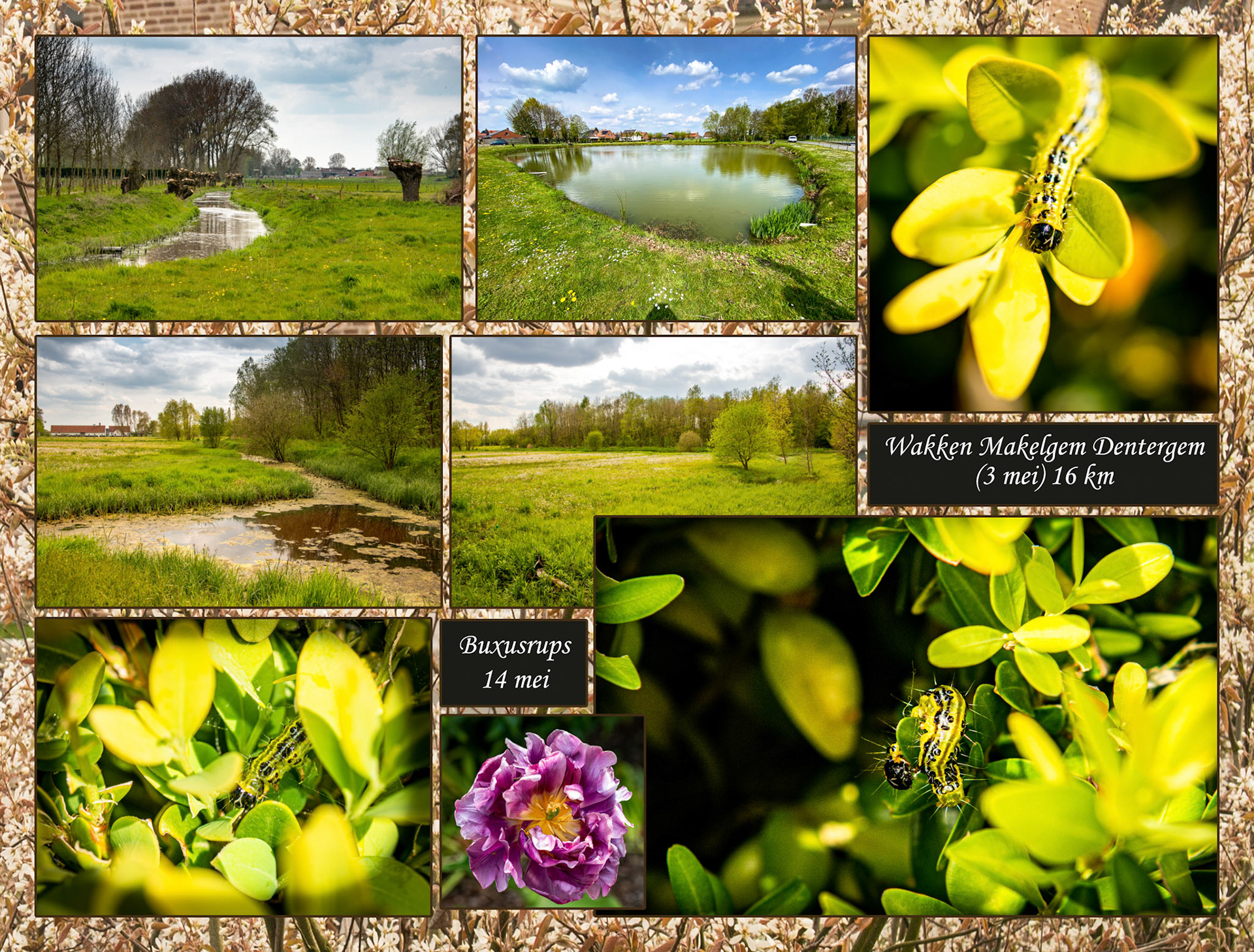 2021 05 03 Wakken F14b