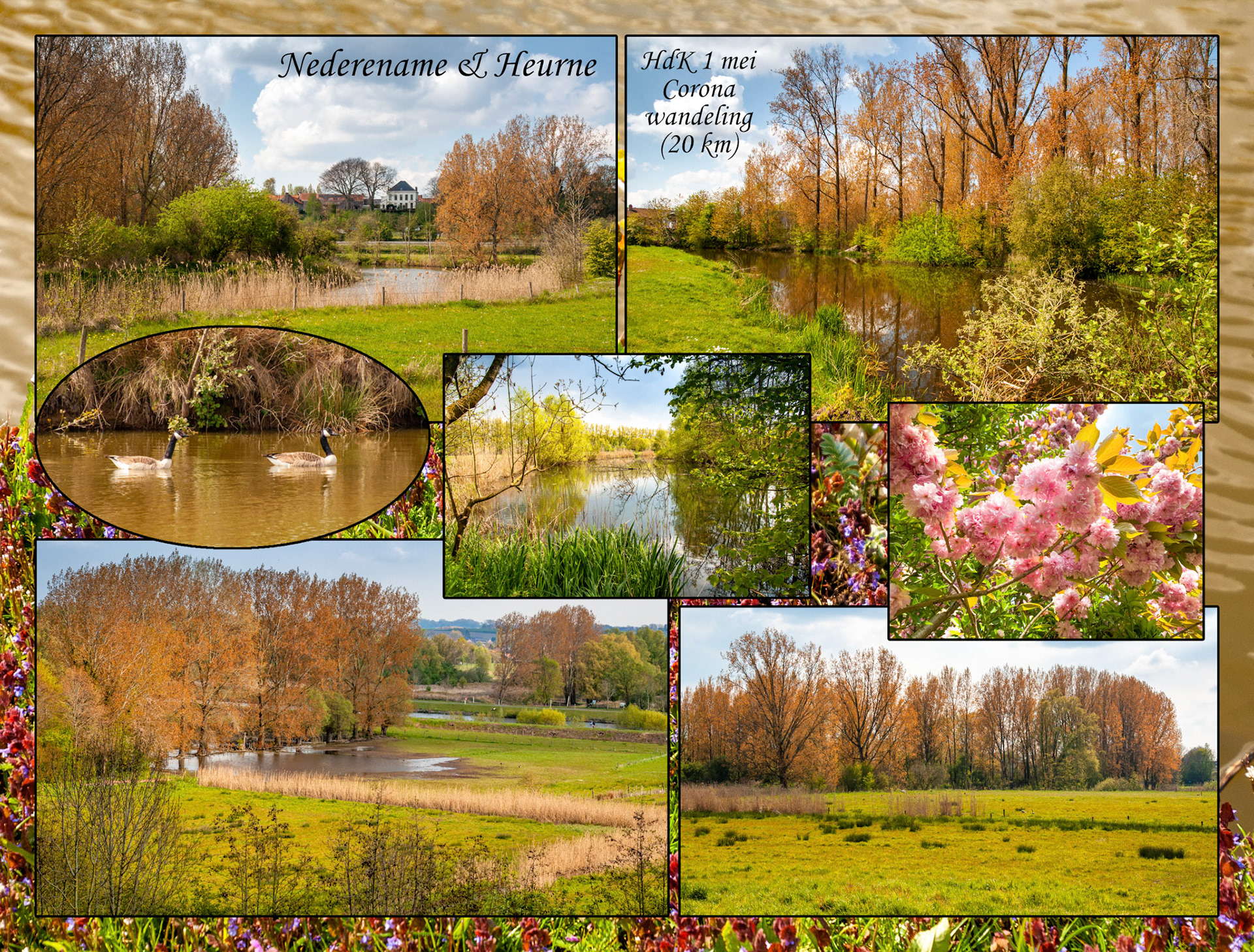 2021 05 01 Nederename Heerne HdK F47b