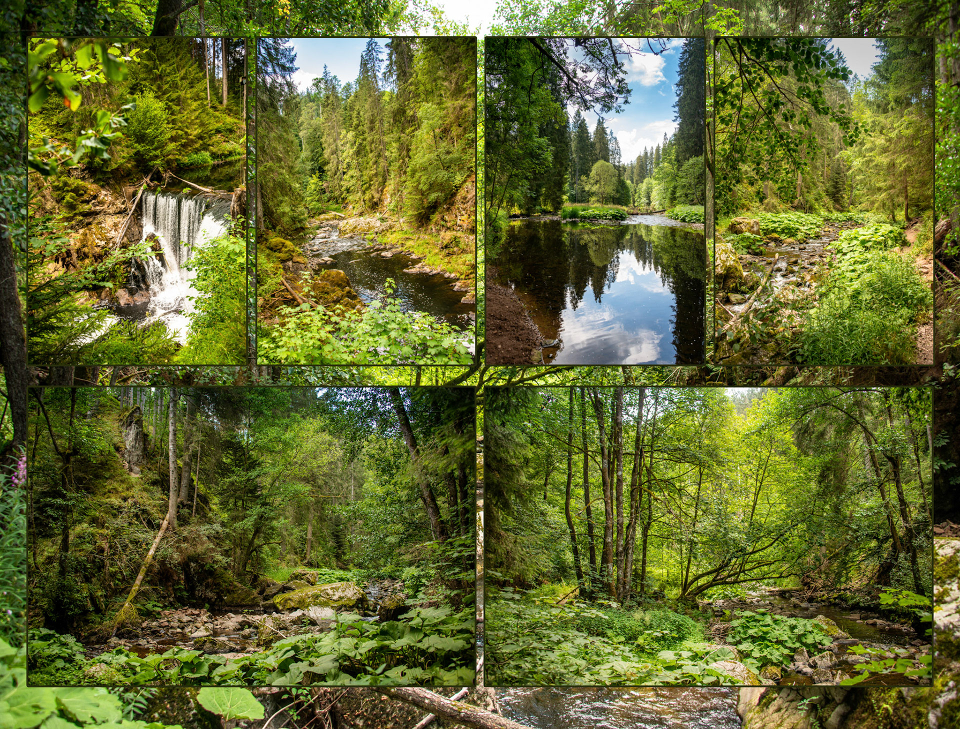 2020 07 23 ZW F015b E3 Bonndorf