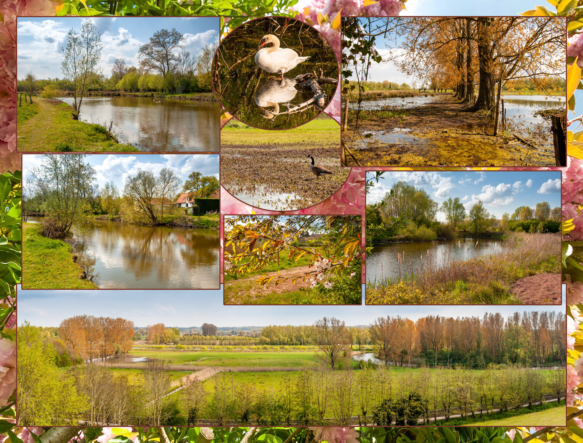 2021 05 01 Nederename Heerne HdK F48b