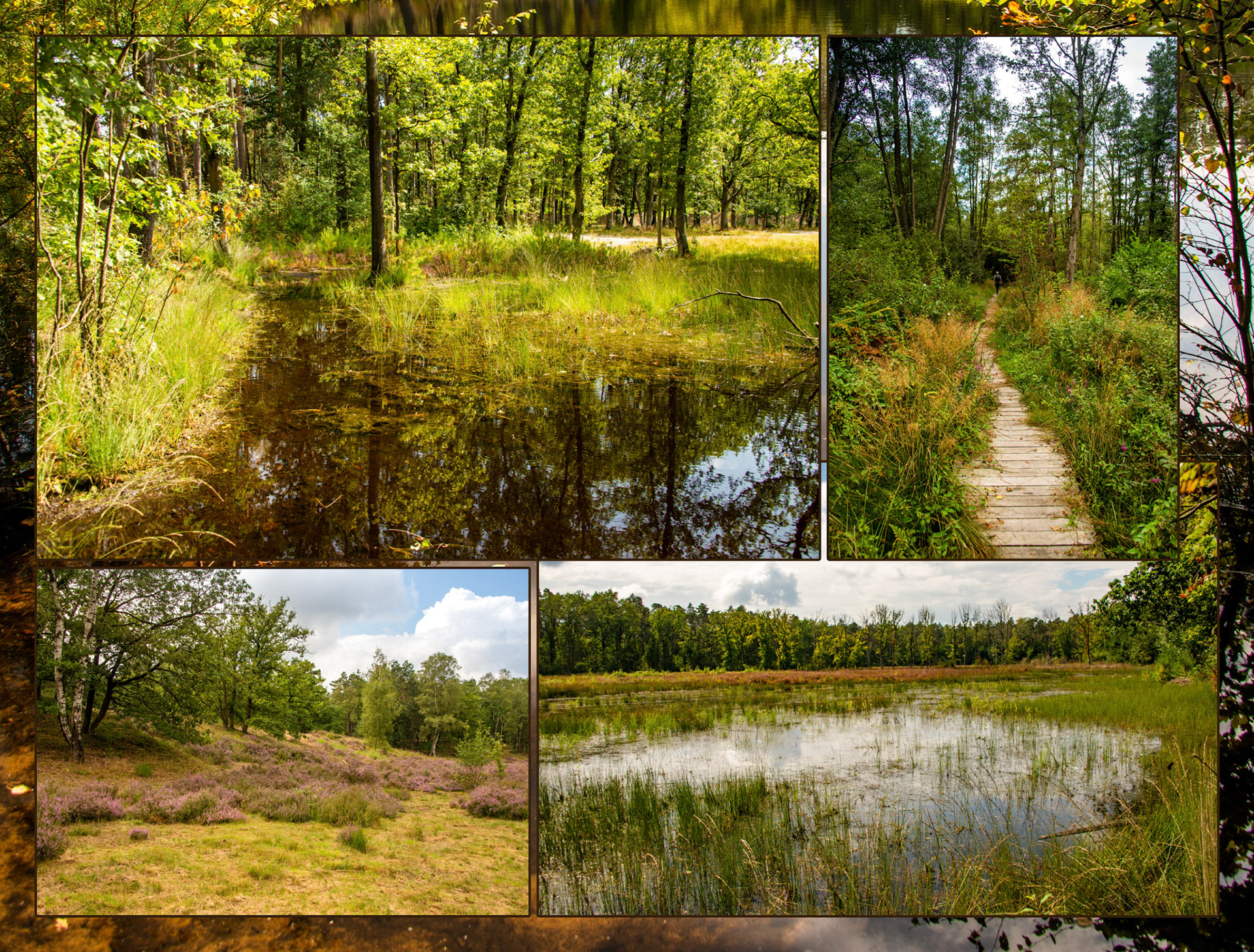 2021 08 28 AR Zwarte Beek F52b