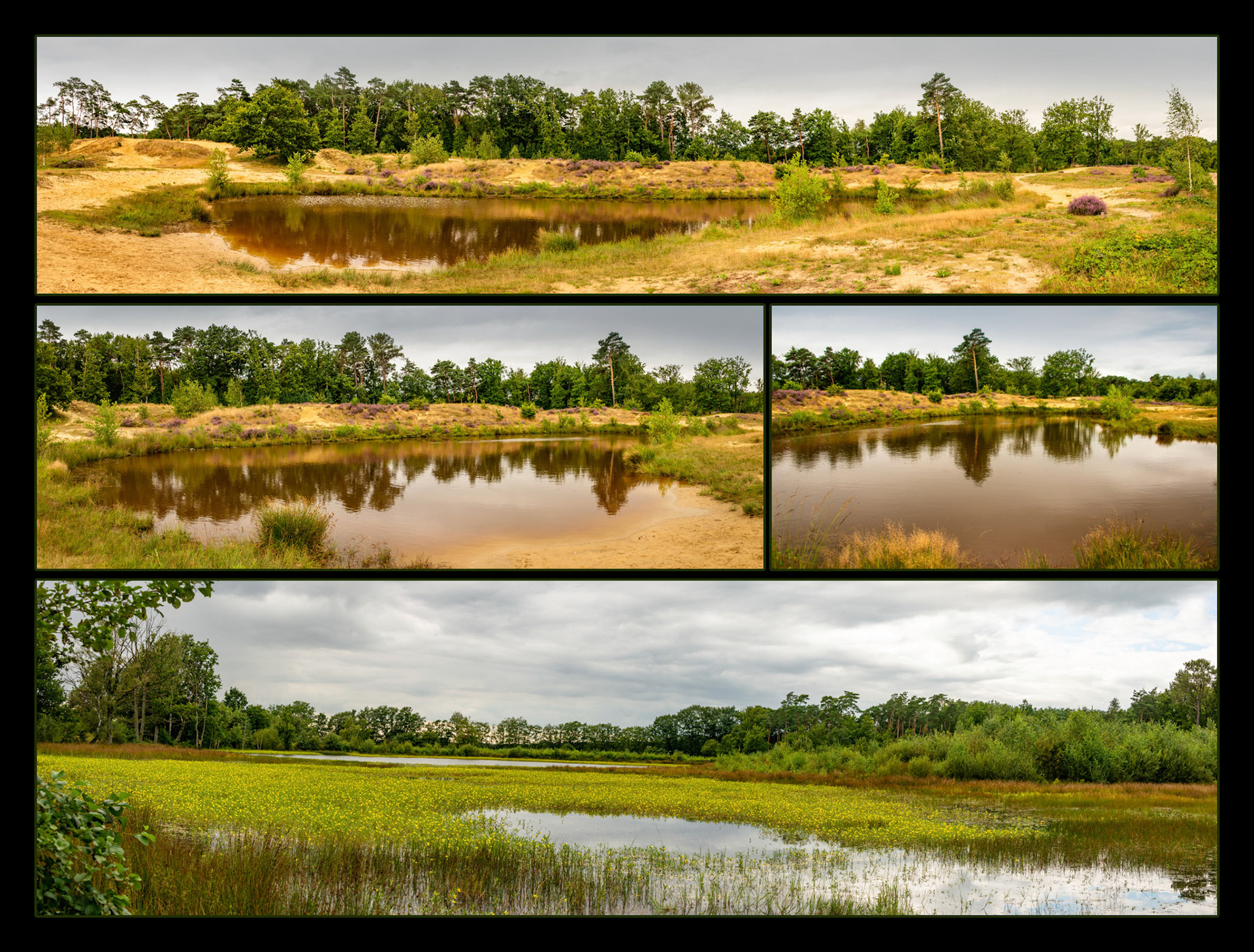 2021 08 27 Belse heide F60b