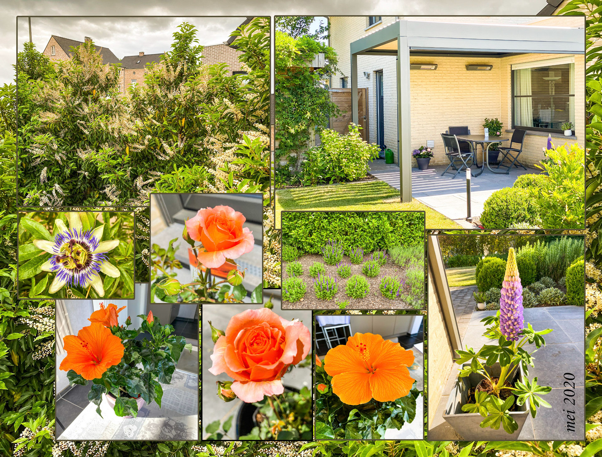 2020 05 24 Tuin 17u14 17b IP