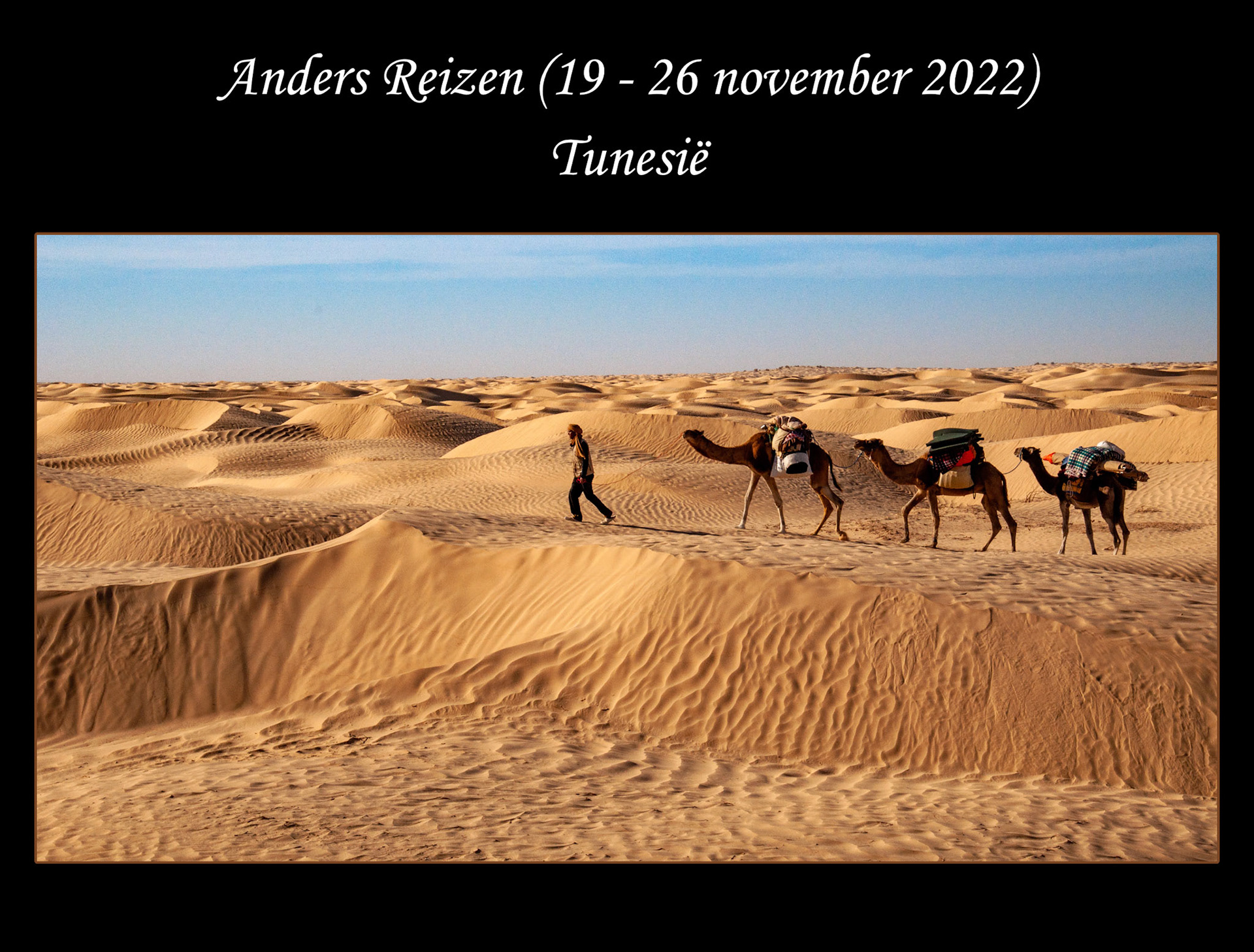 2021 11 Jordan reis cover