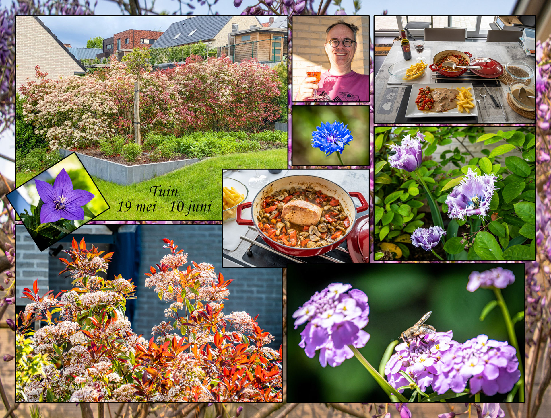 2021 05 03 Grijsloke F47b