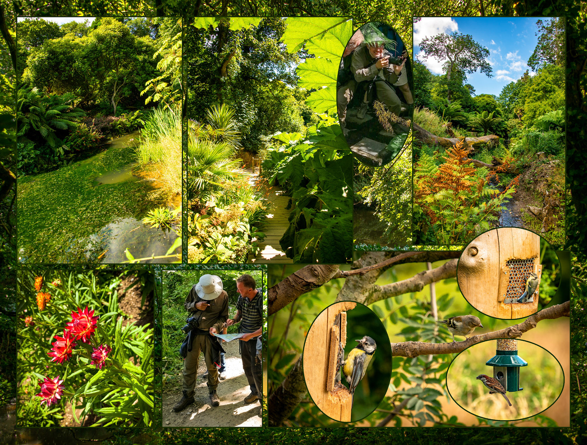 2022 07 22 DC A Garden Heligan F006b