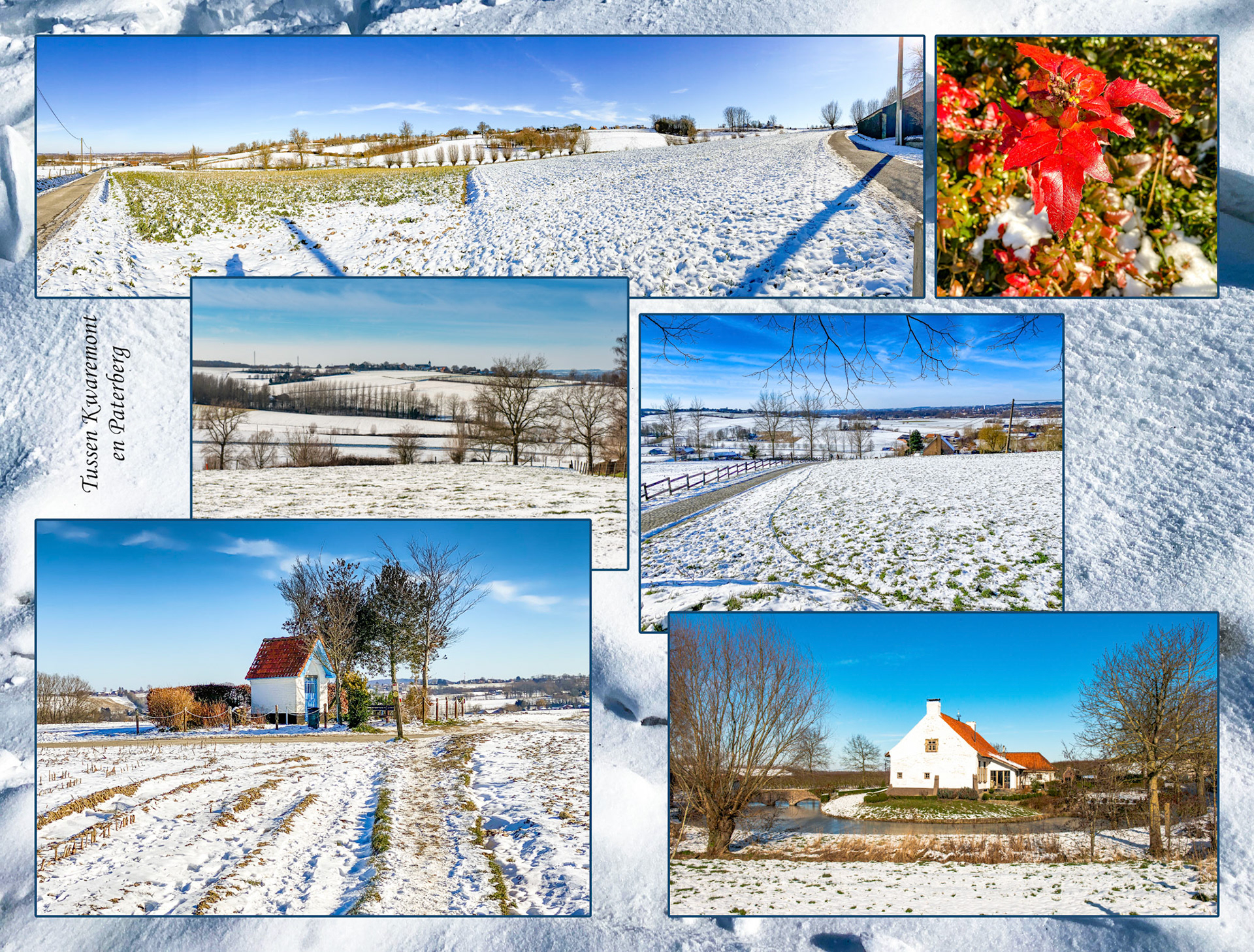 2021 02 13 Kwaremont - Paterberg F15b