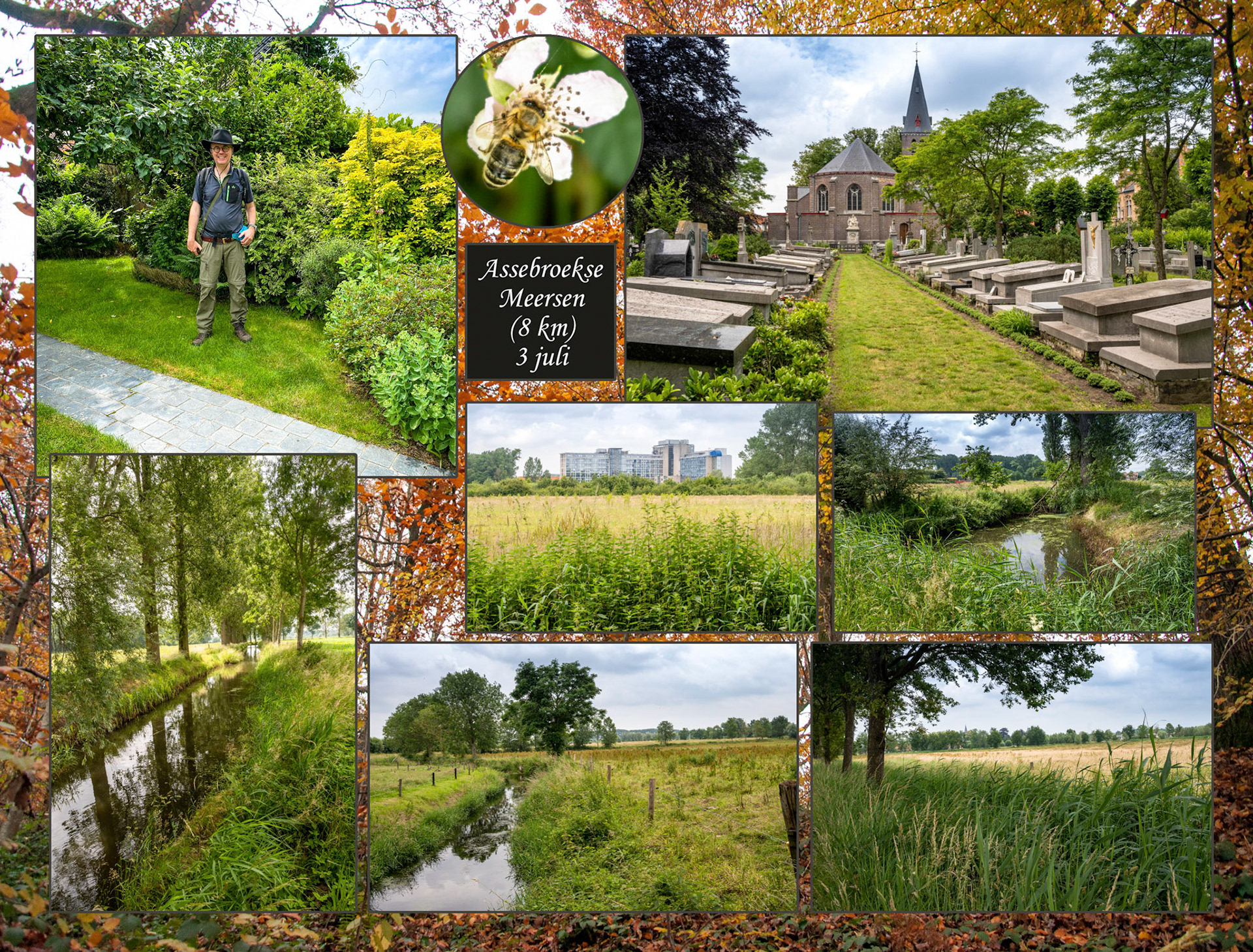 2021 07 03 Assebroek F01b Meersen