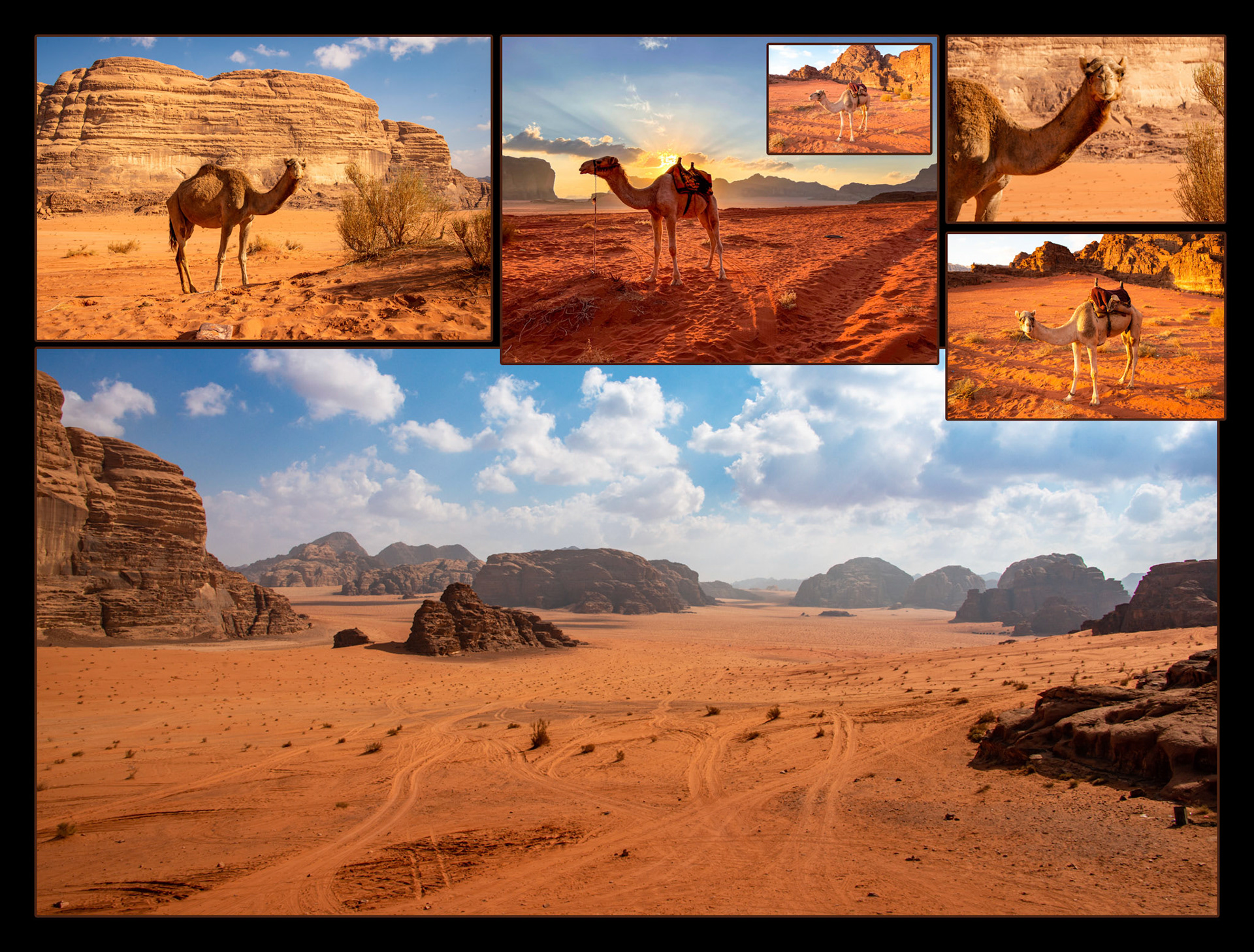 2021 11 19 Jordan F049b Wadi Rum