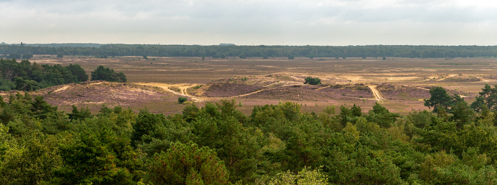 Uitkijktoren : recreatieoord 't Fonteintje te Koersel