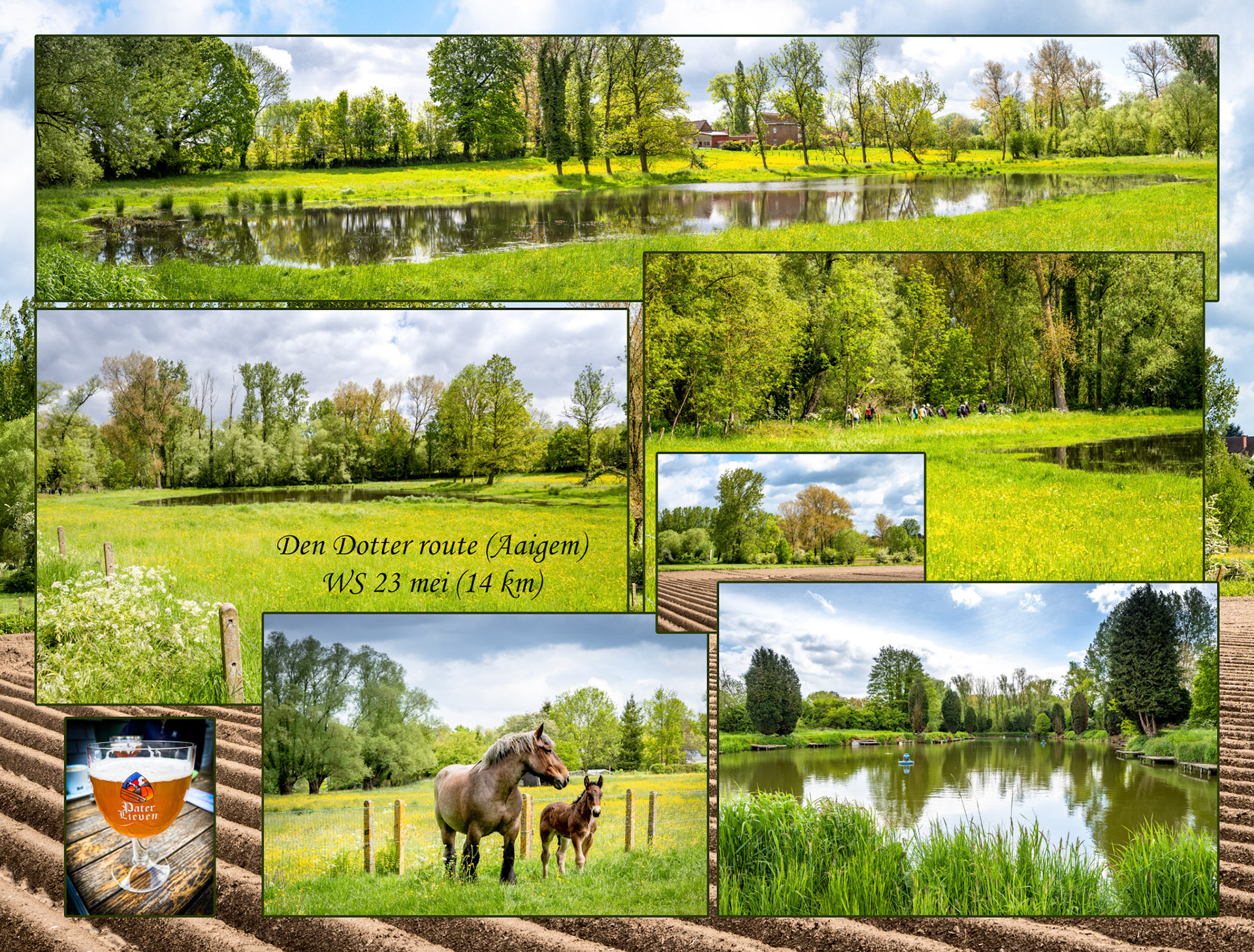 2021 05 23 Aaigem WS F03b