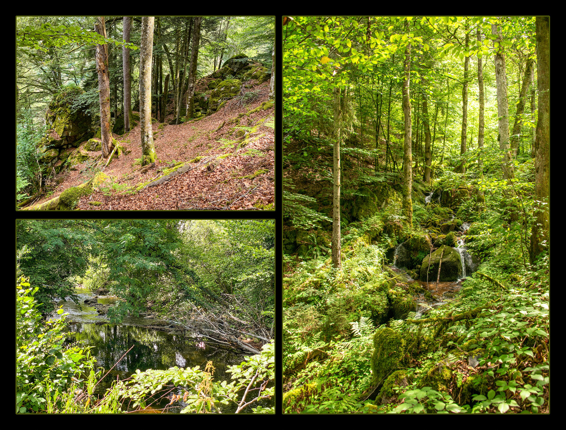 2020 07 26 ZW F010b E6 Todtmoos Wehr