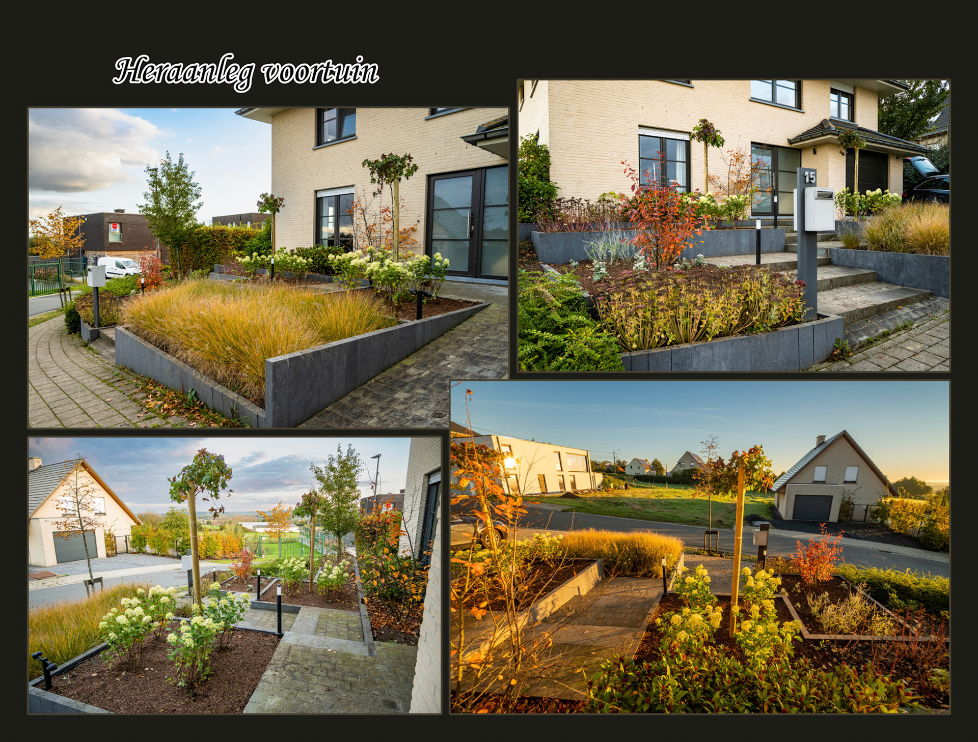 2021 10 23 Grijsloke F17b tuin
