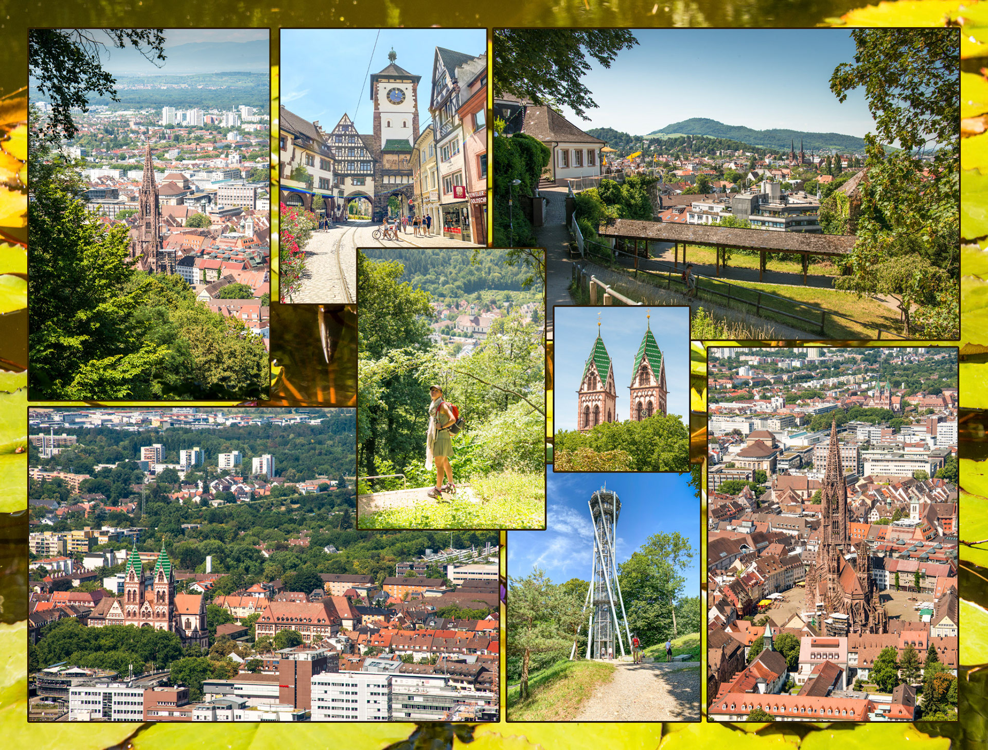 2020 07 19 ZW F028b Freiburg