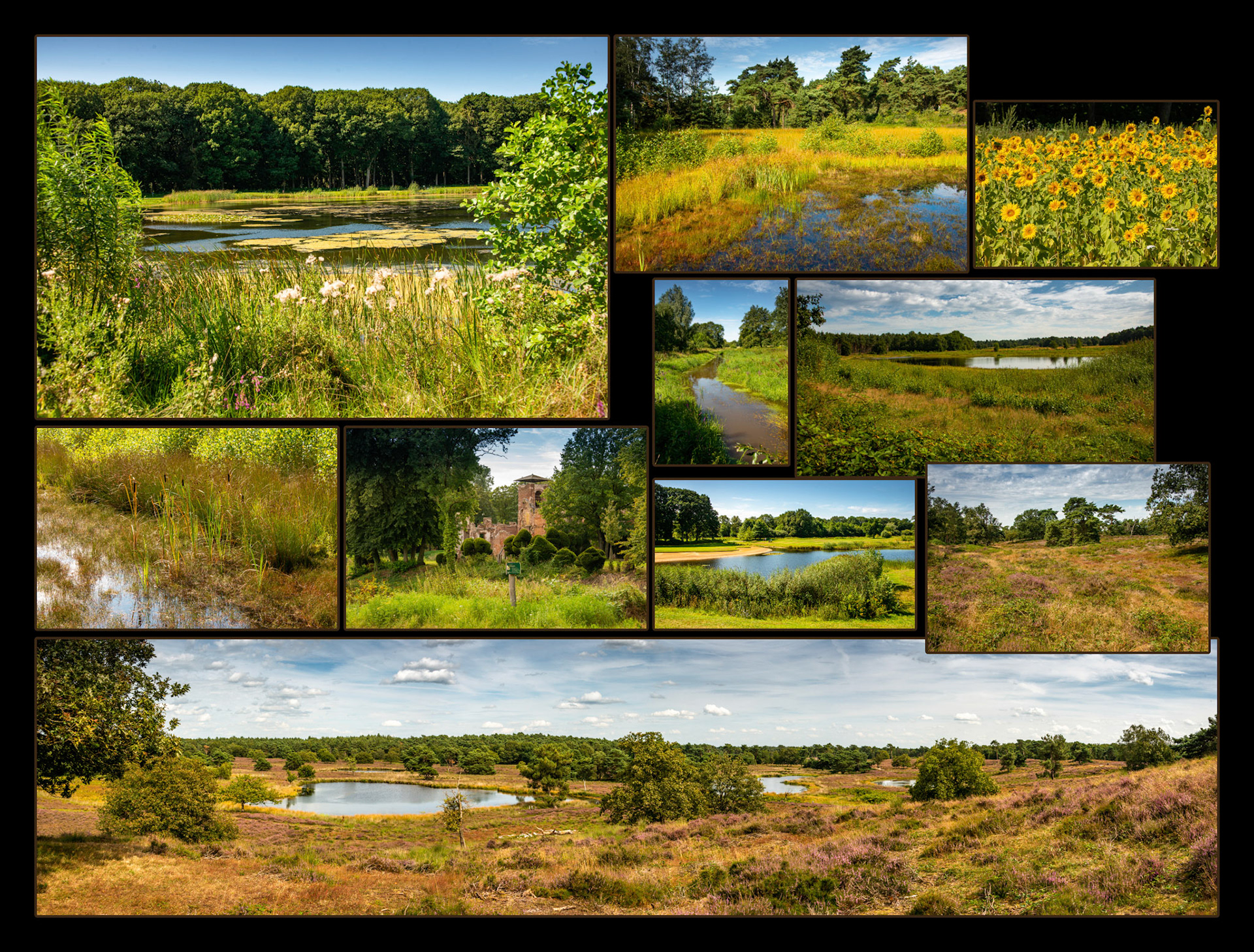 2021 08 15 Maasduinen F02b