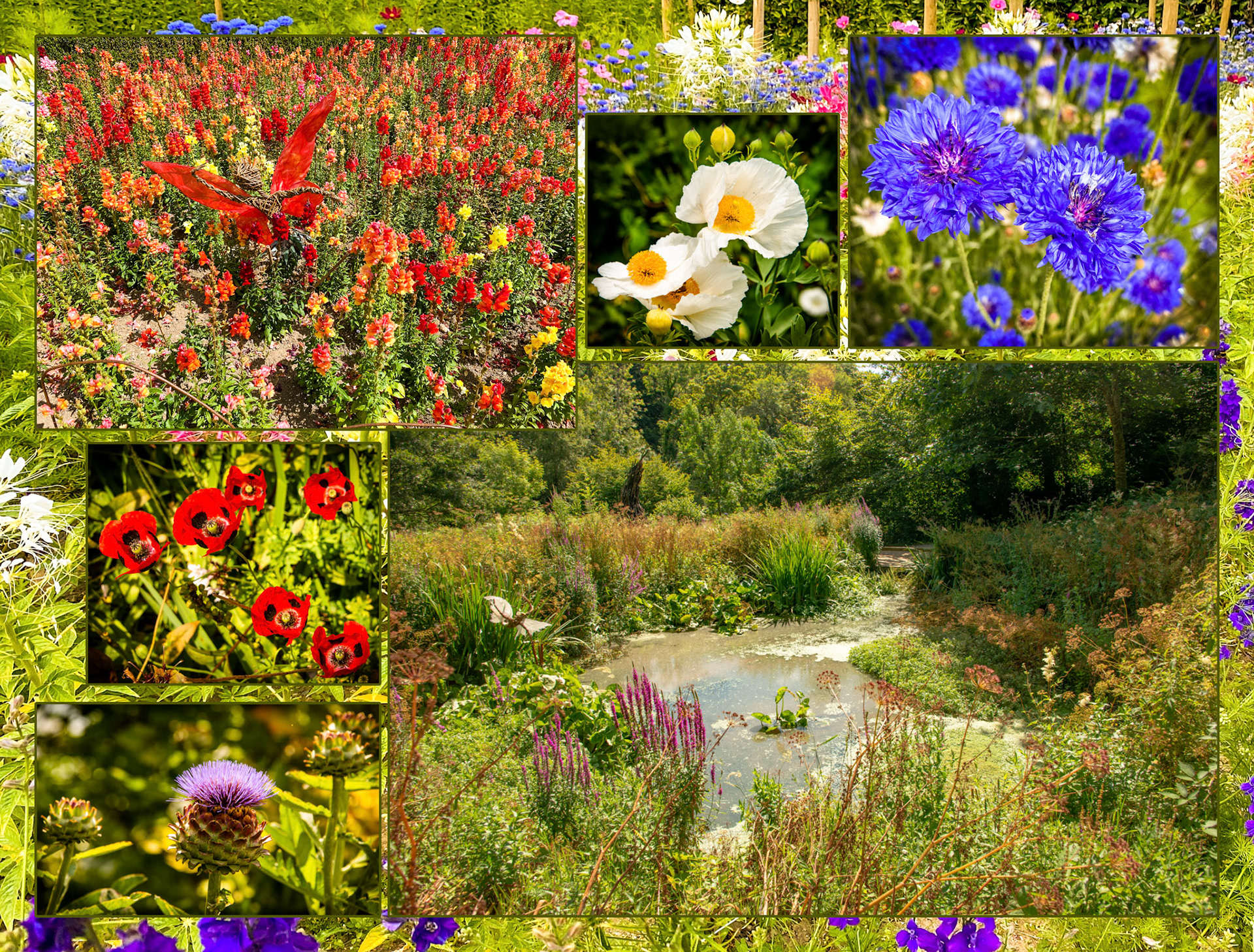 2022 07 22 DC A Garden Heligan F007b