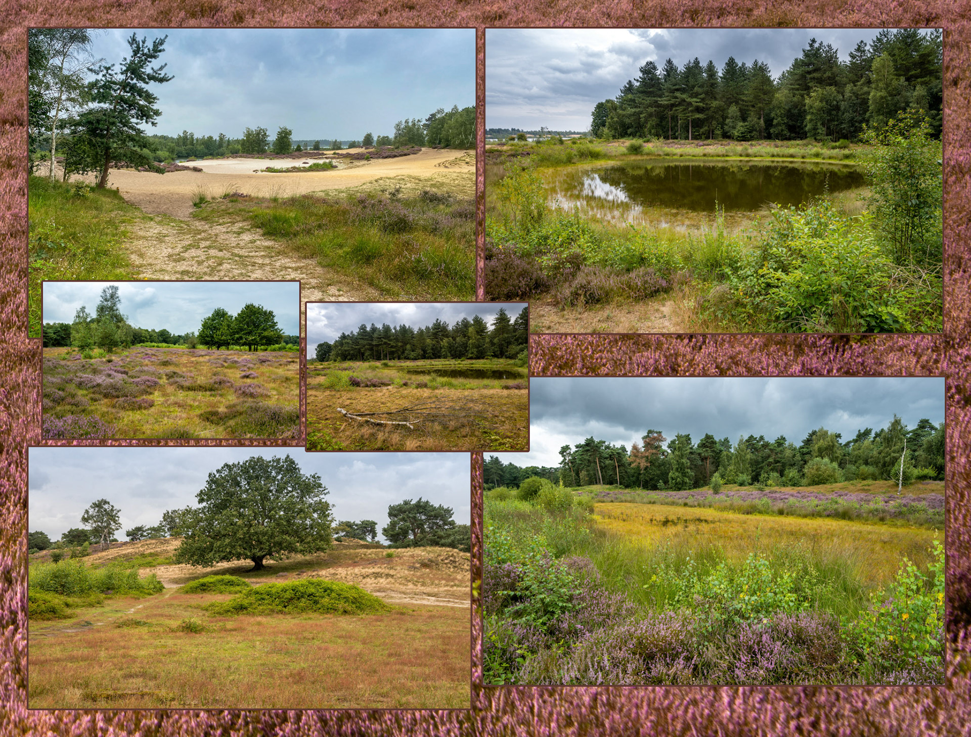 2021 08 15 Maasduinen F64b