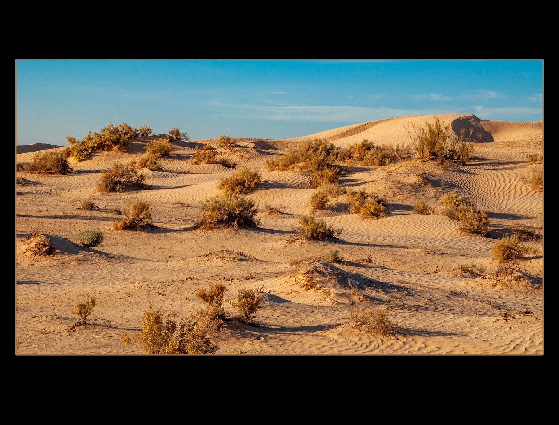 2022 11 24 Sahara F163d